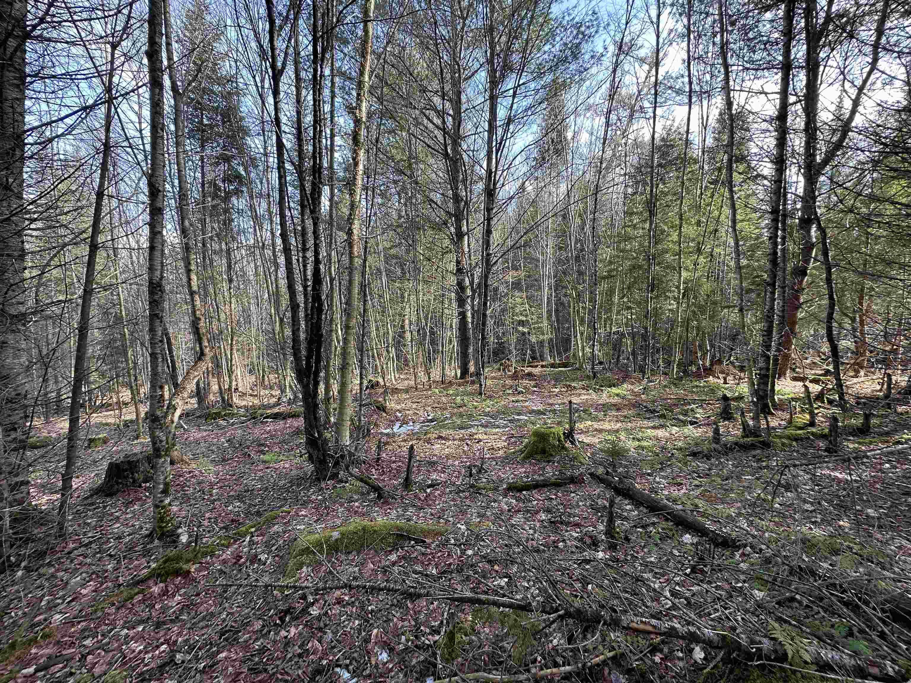 Lot 109 Steeple View Drive Property Photo 17