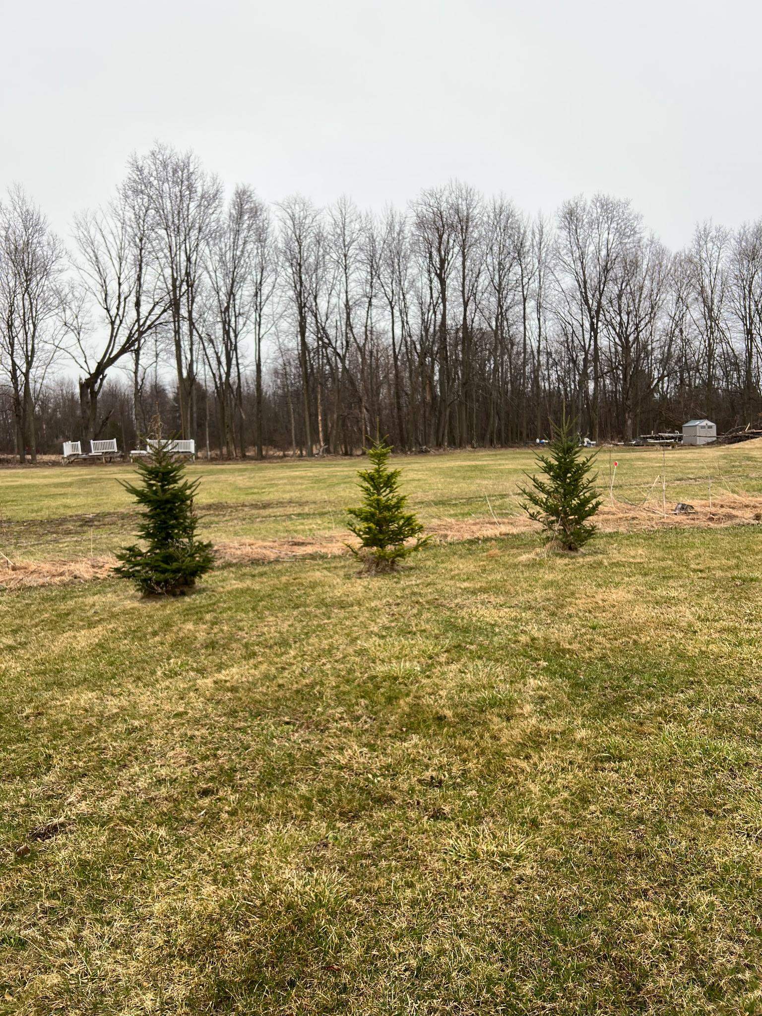 1555 Main Street Property Photo 6