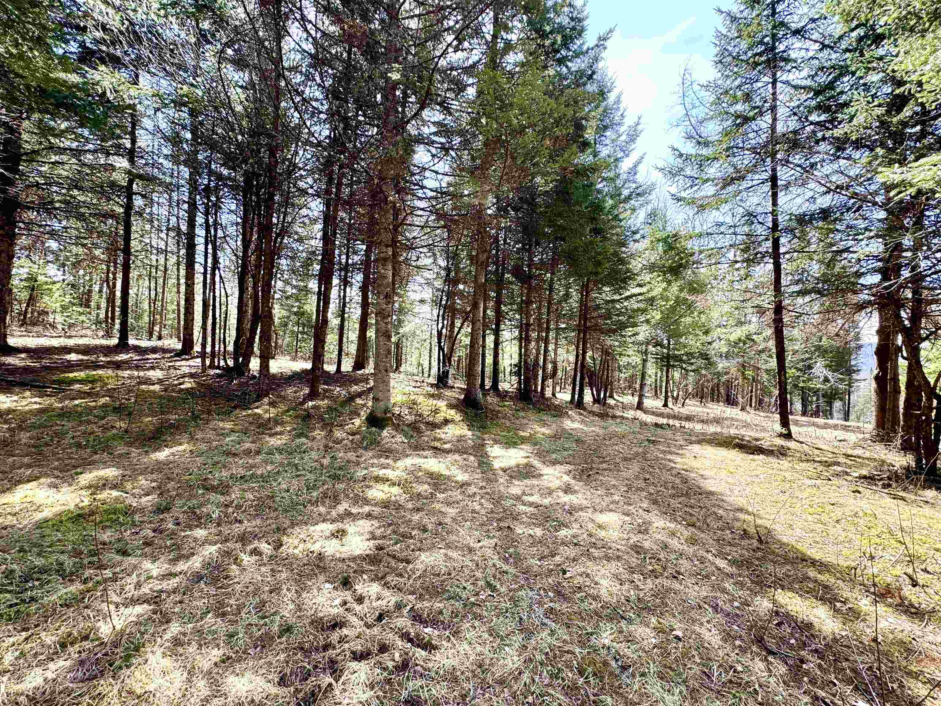 Tbd Hollow Road Property Photo 1