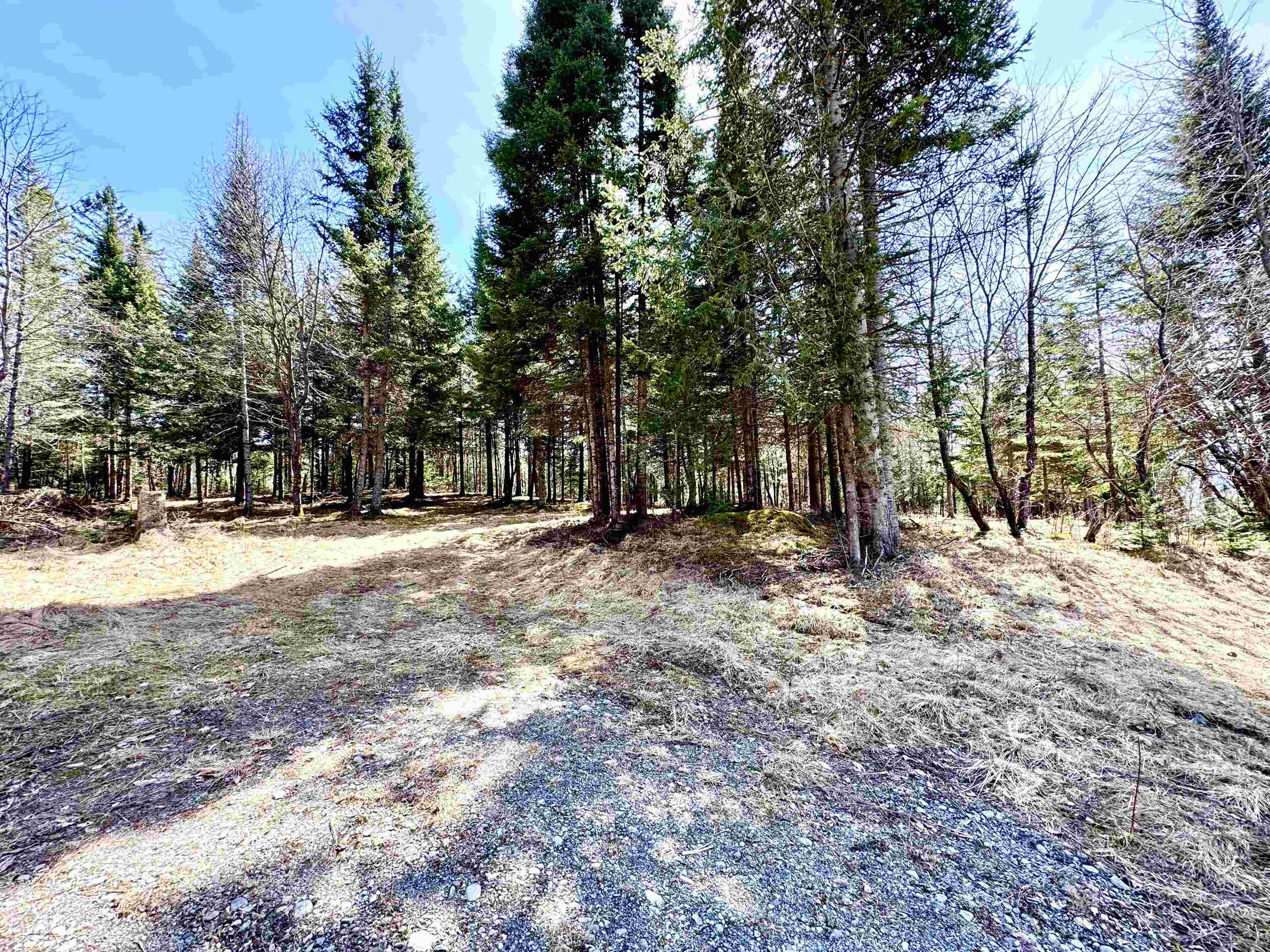 Tbd Hollow Road Property Photo 2