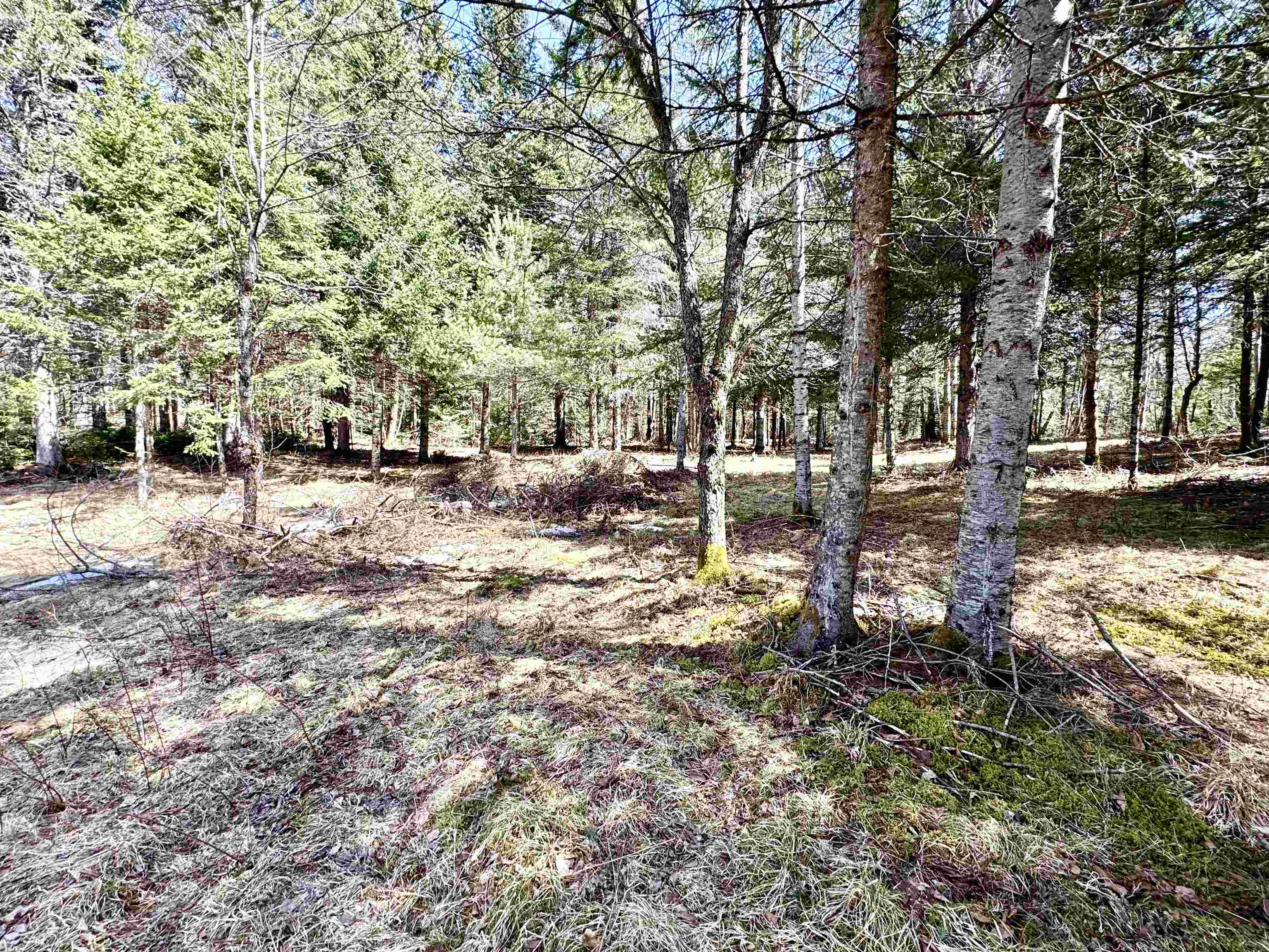 Tbd Hollow Road Property Photo 3