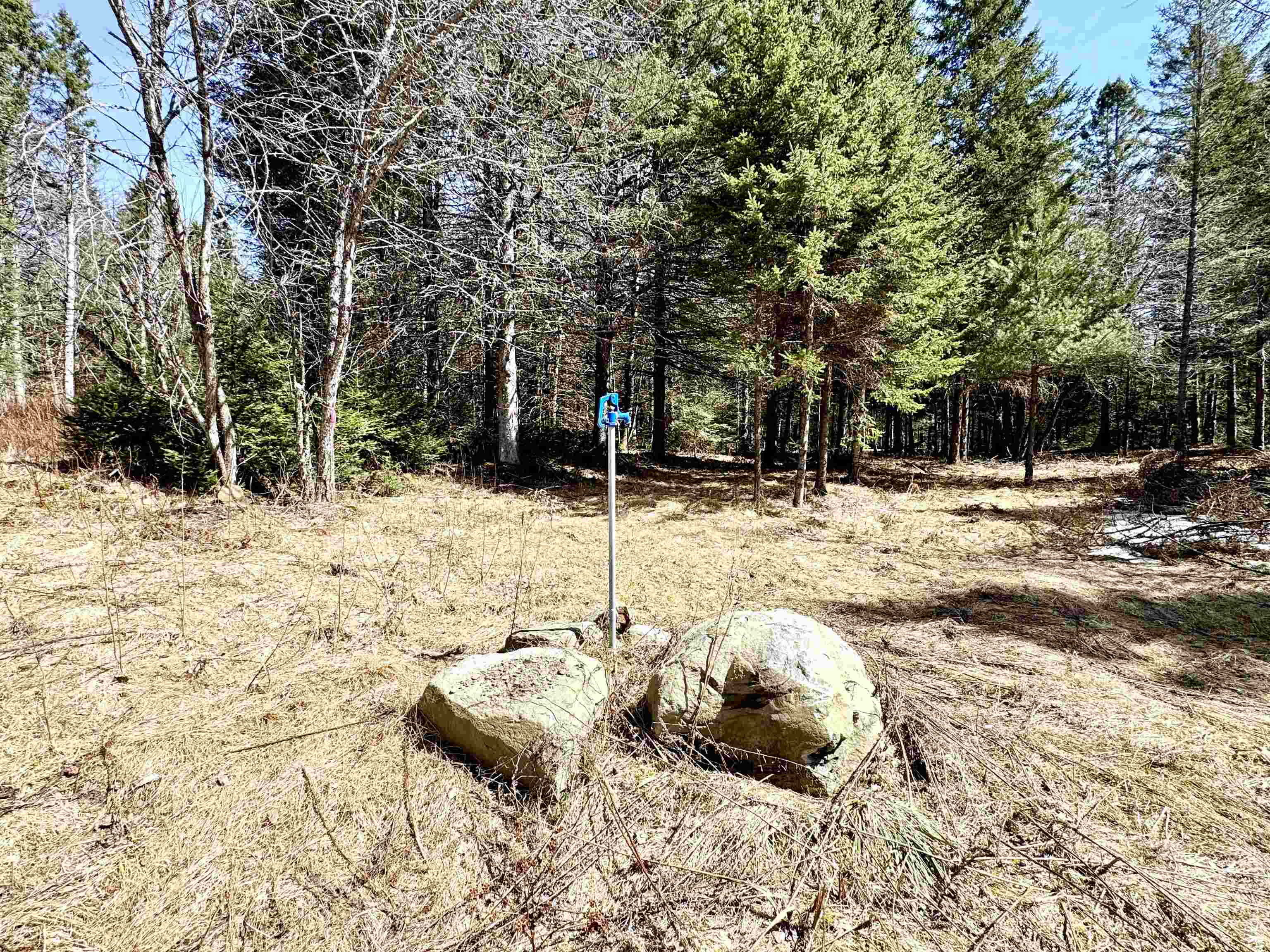 Tbd Hollow Road Property Photo 4
