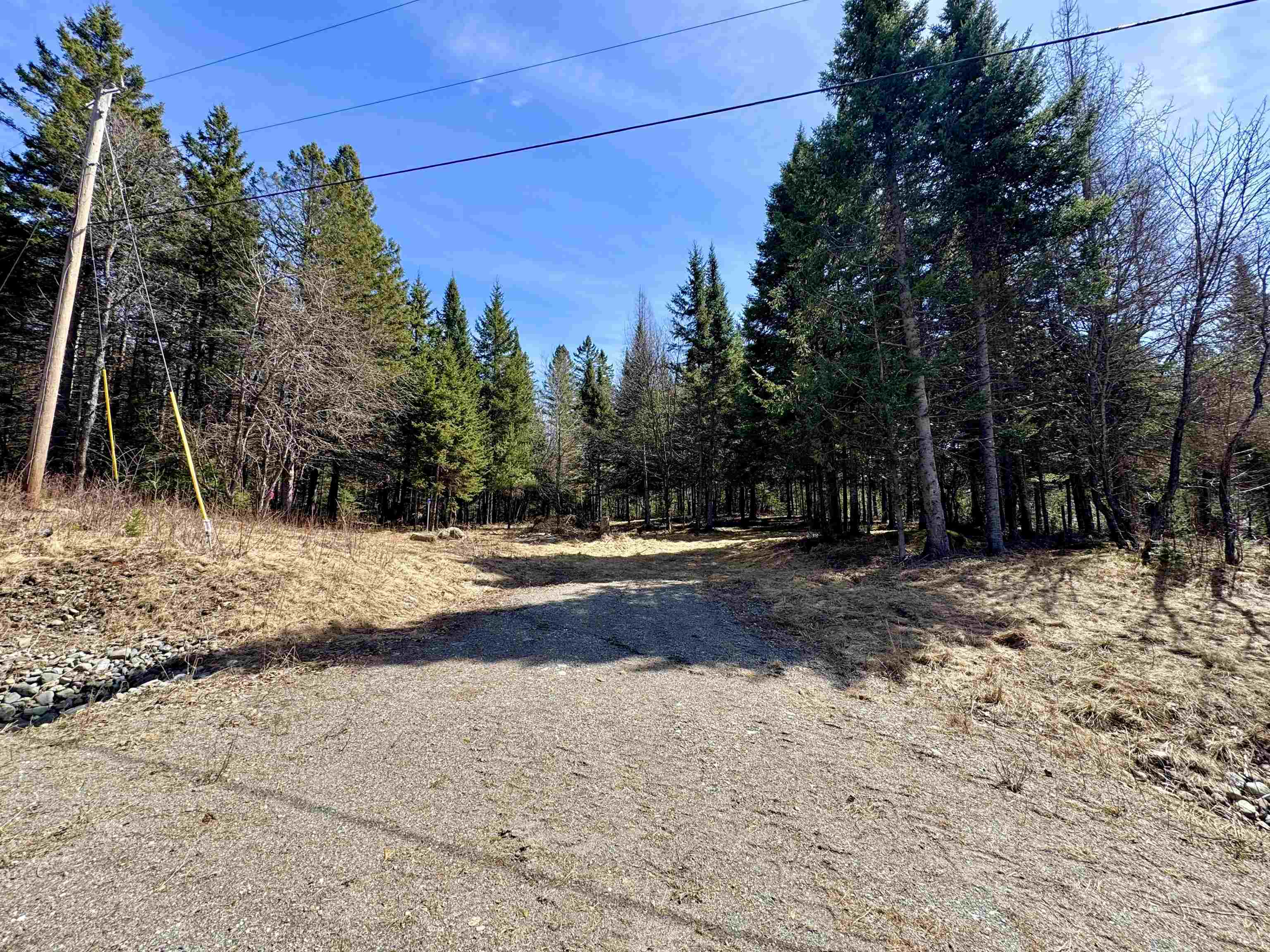 Tbd Hollow Road Property Photo 6