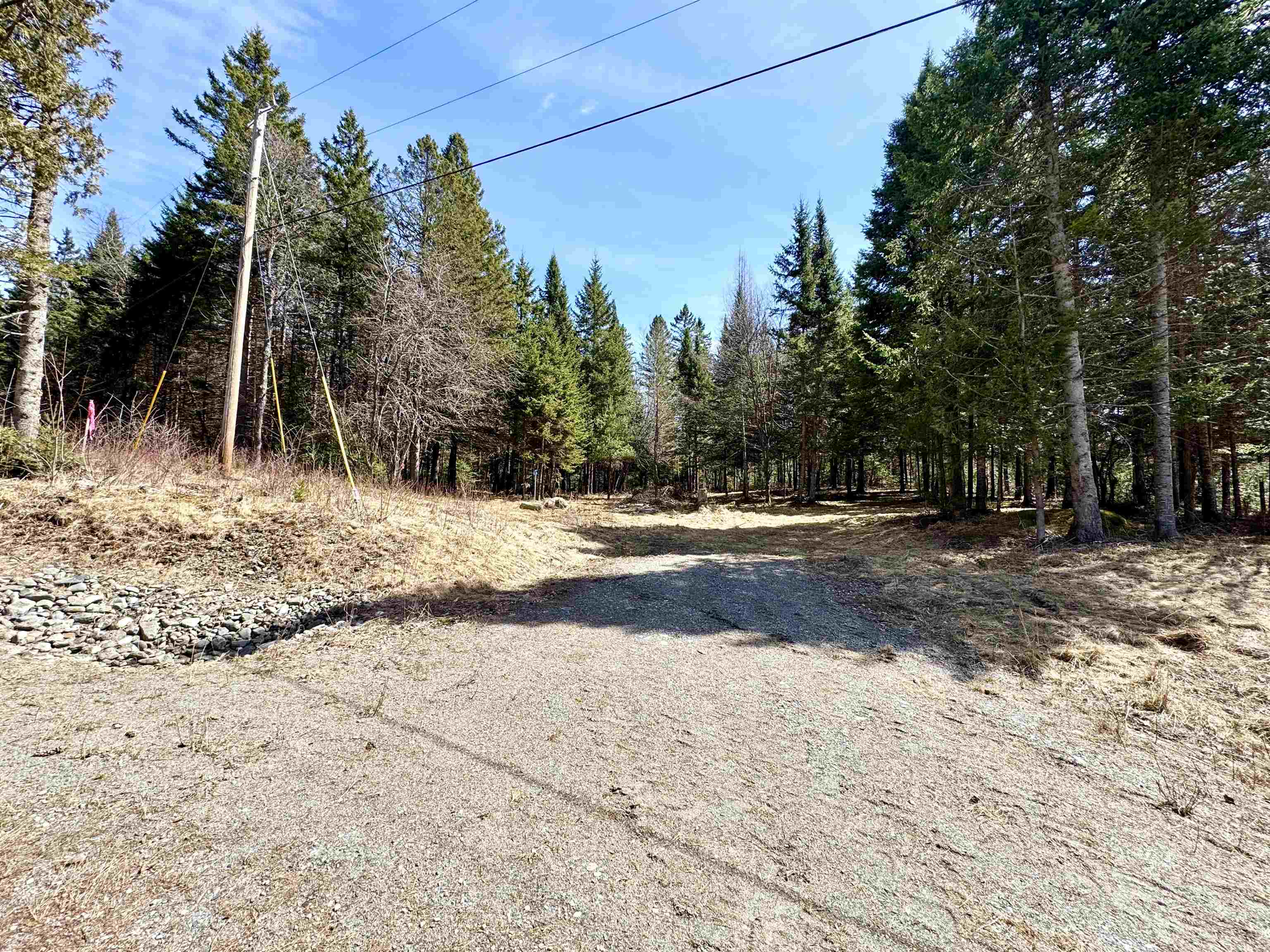 Tbd Hollow Road Property Photo 7