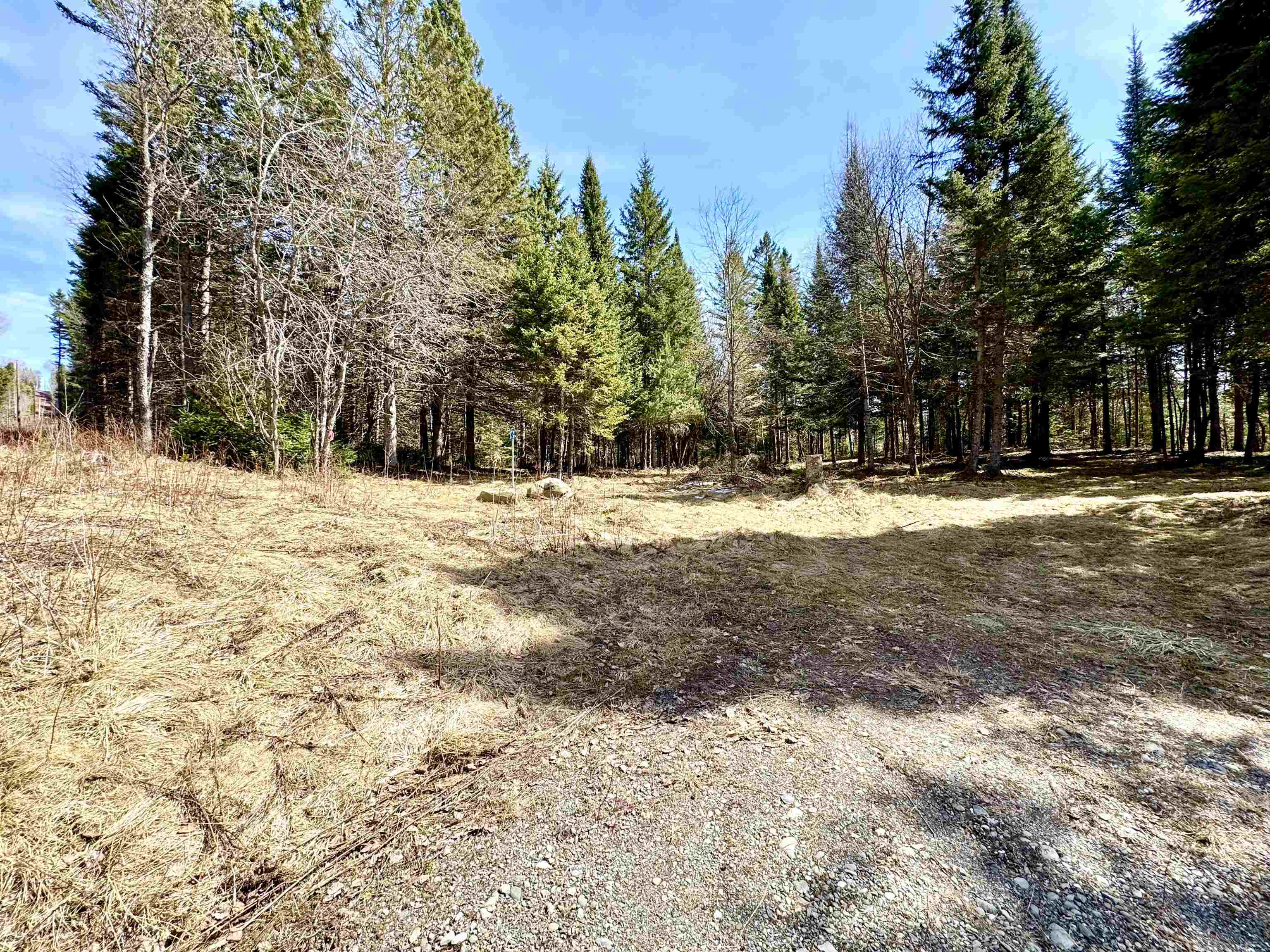 Tbd Hollow Road Property Photo 10