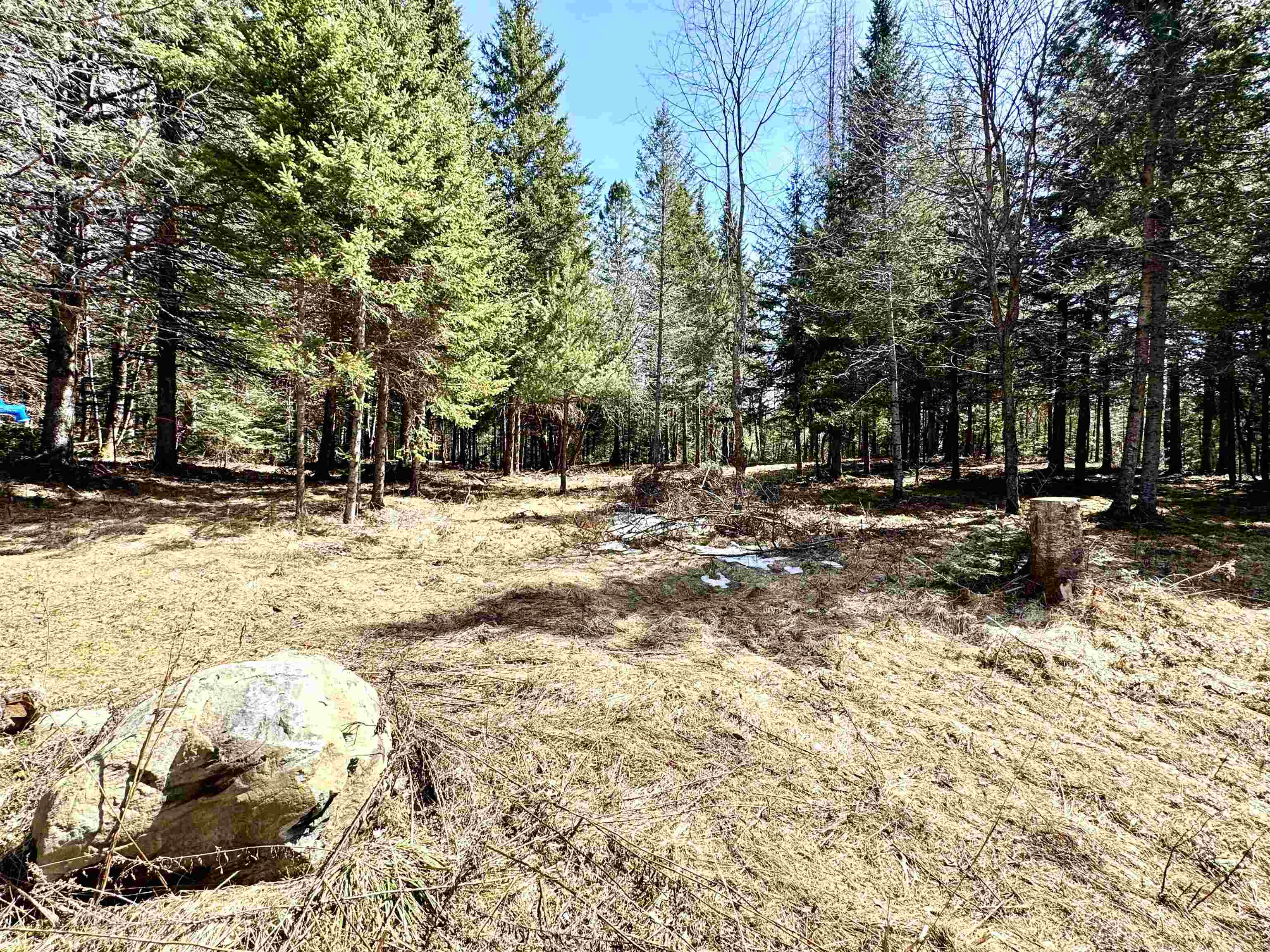 Tbd Hollow Road Property Photo 12