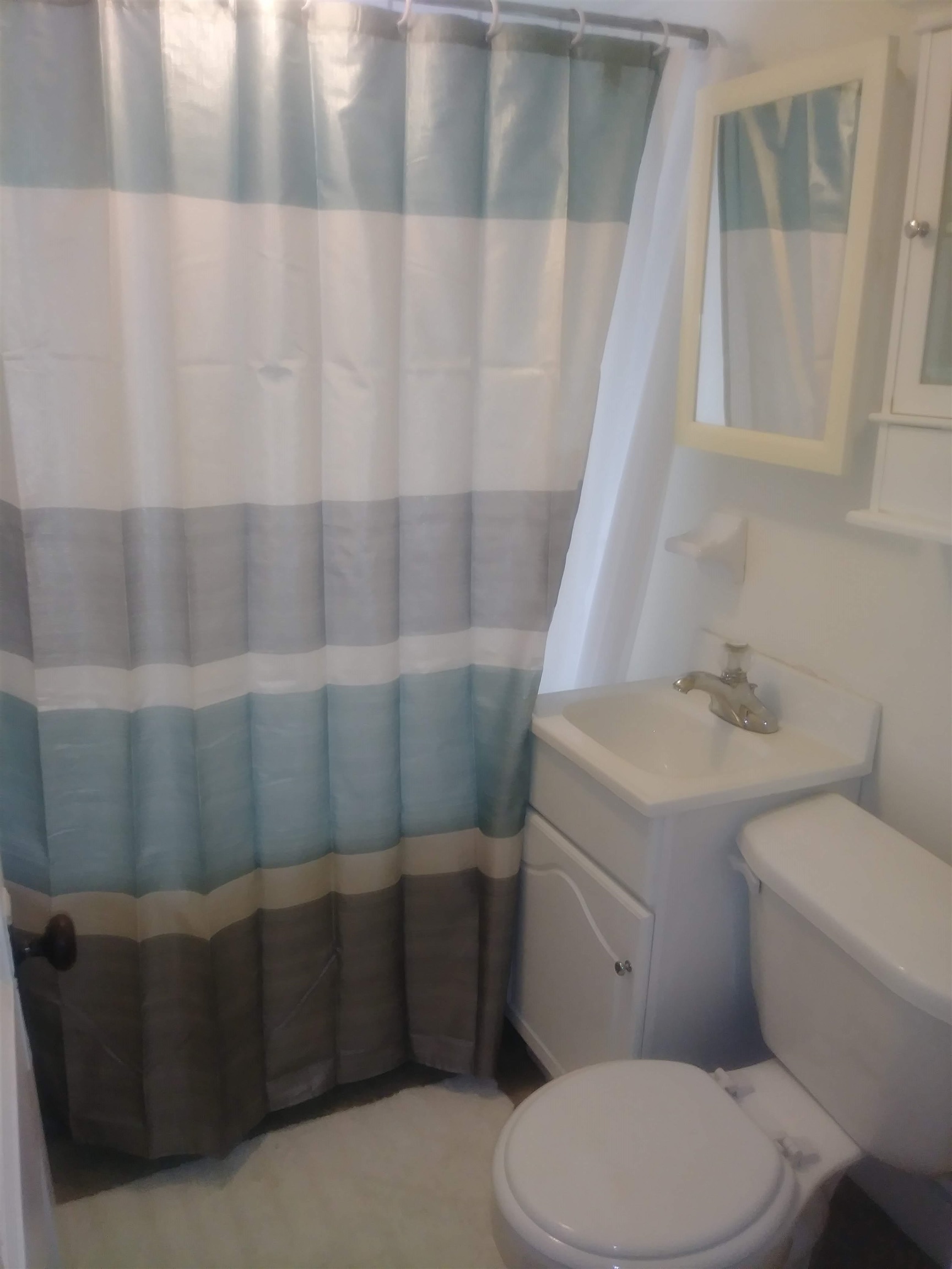 22 Chestnut Street Property Photo 22