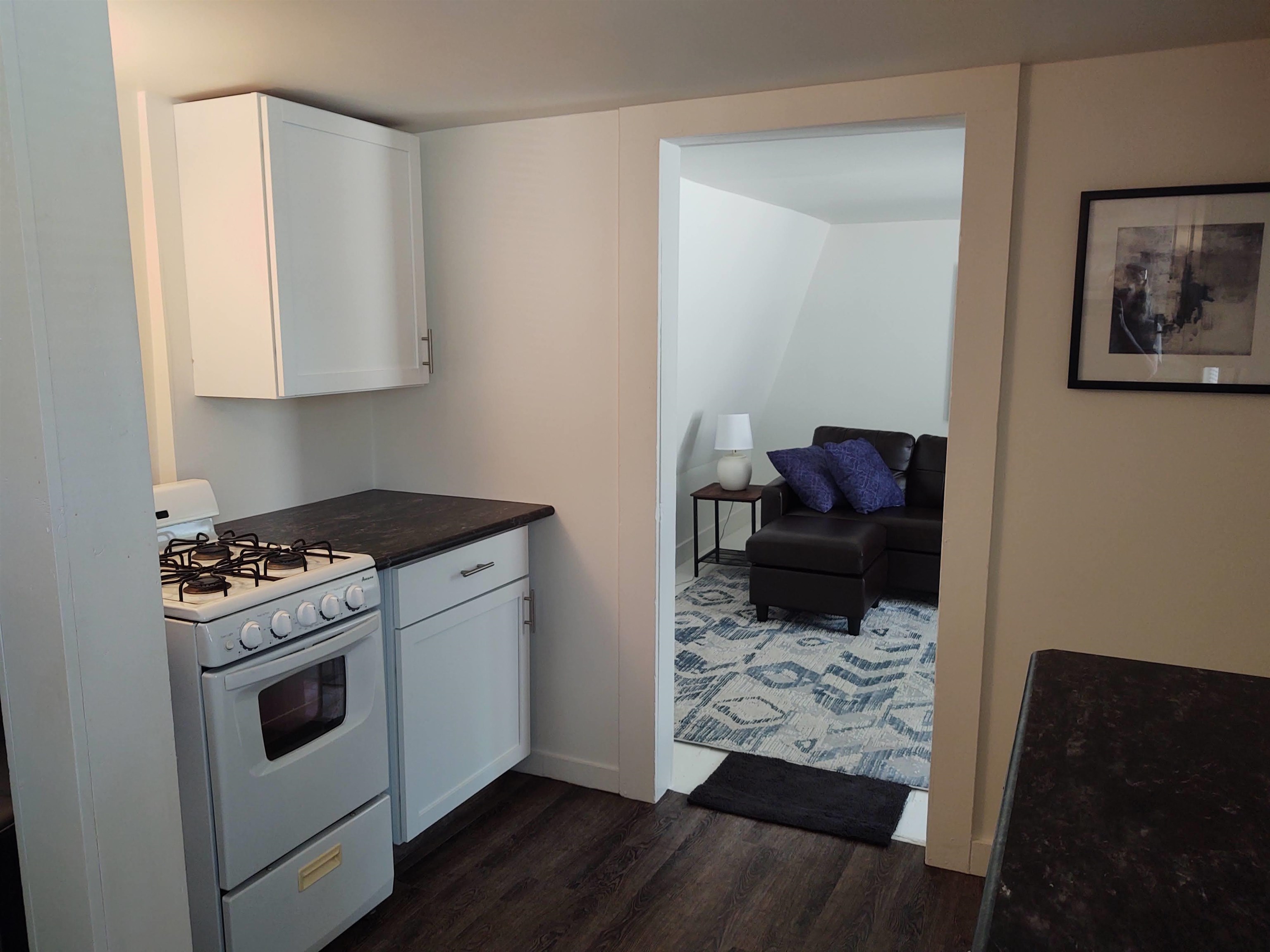 22 Chestnut Street Property Photo 37