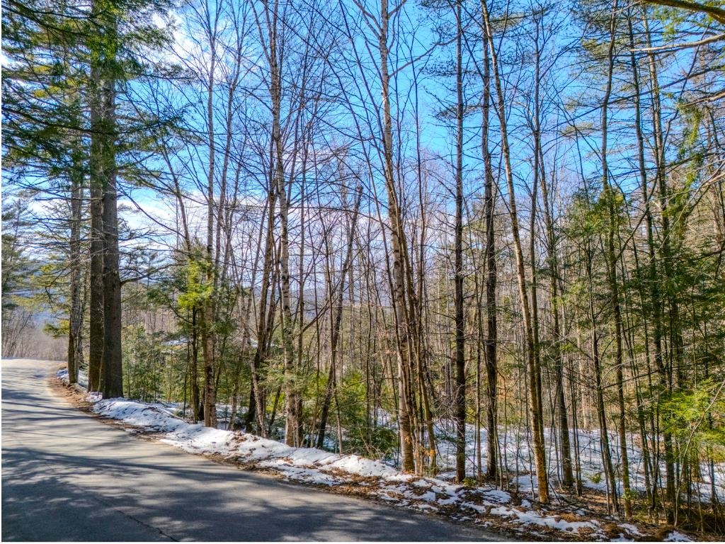 25 Mount Woodlands Road Property Photo 2