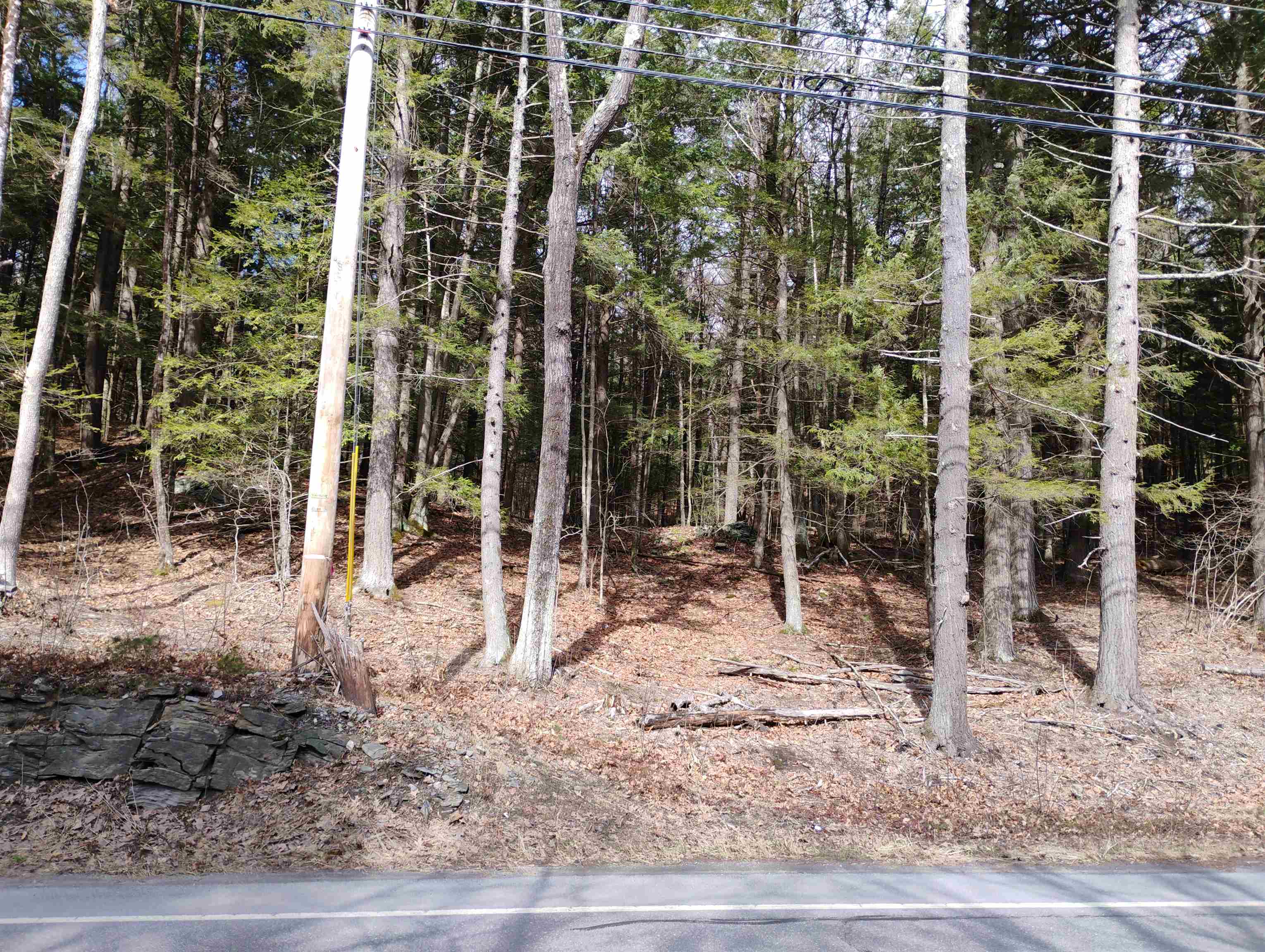 0 Bellows Falls Road Property Photo