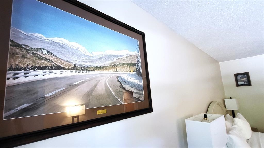 90 Loon Mountain Road Property Photo 25
