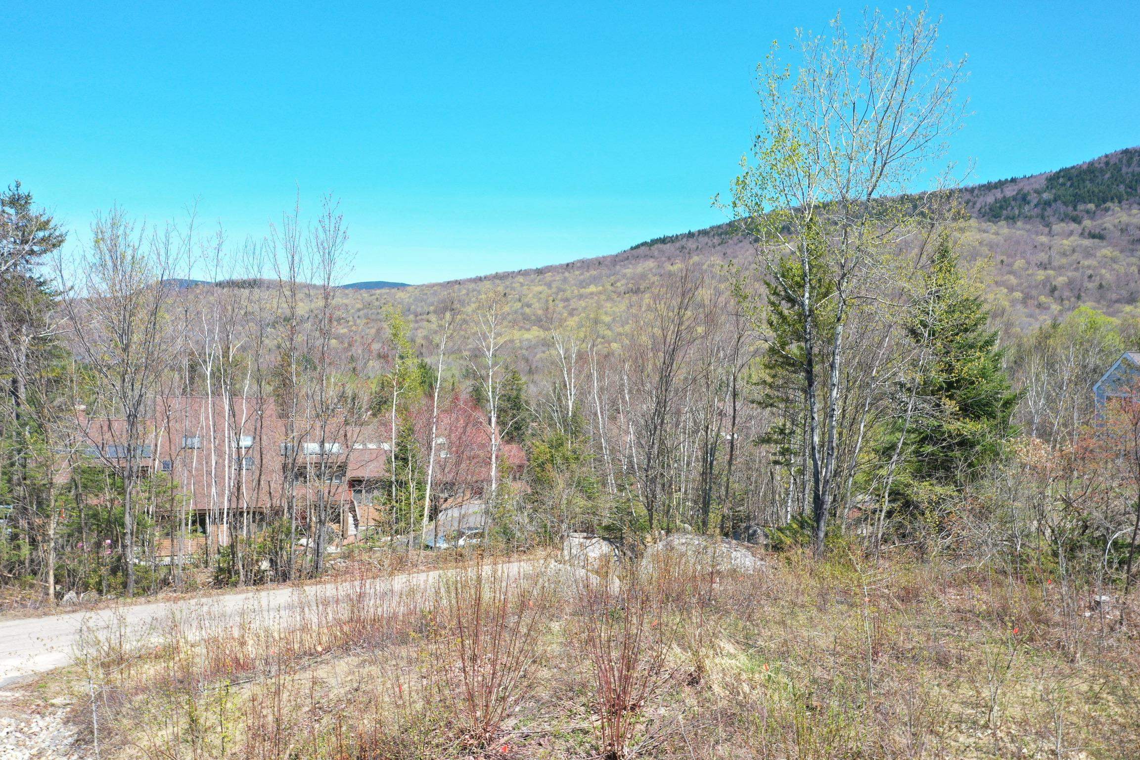 24-23 Bear Brook Lane Property Photo 8