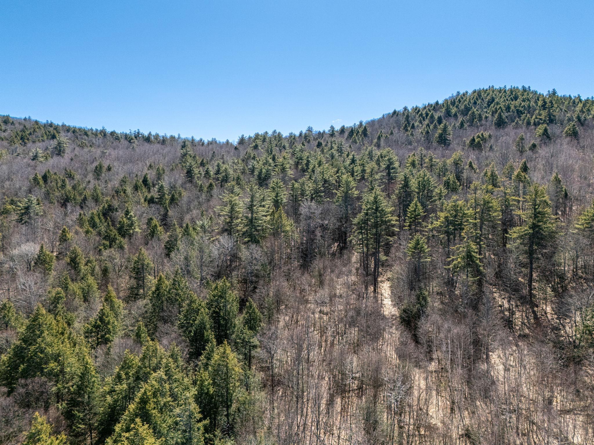 00 Mountainside Drive Property Photo 9