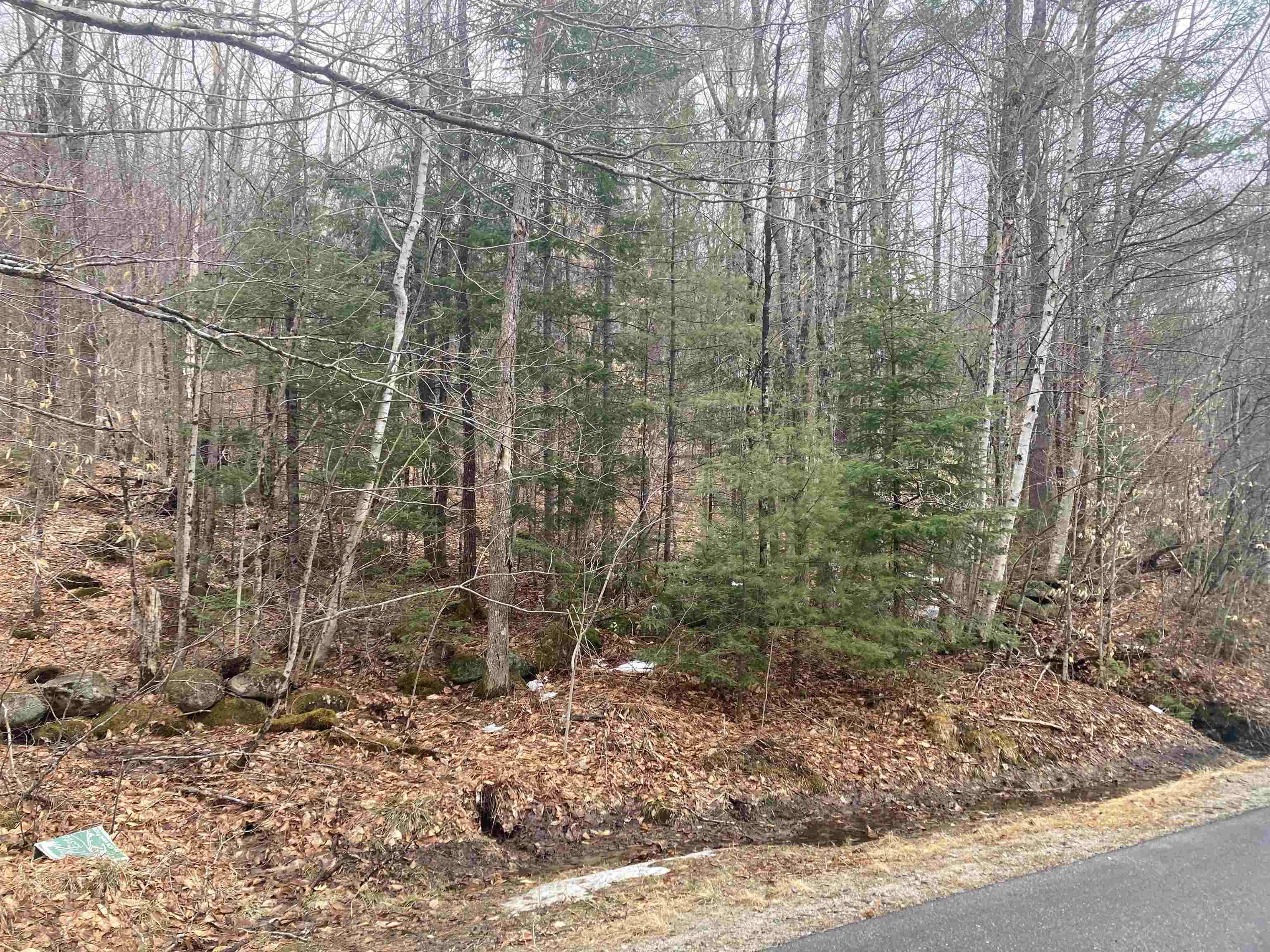 4 &5 River Road Property Photo 2