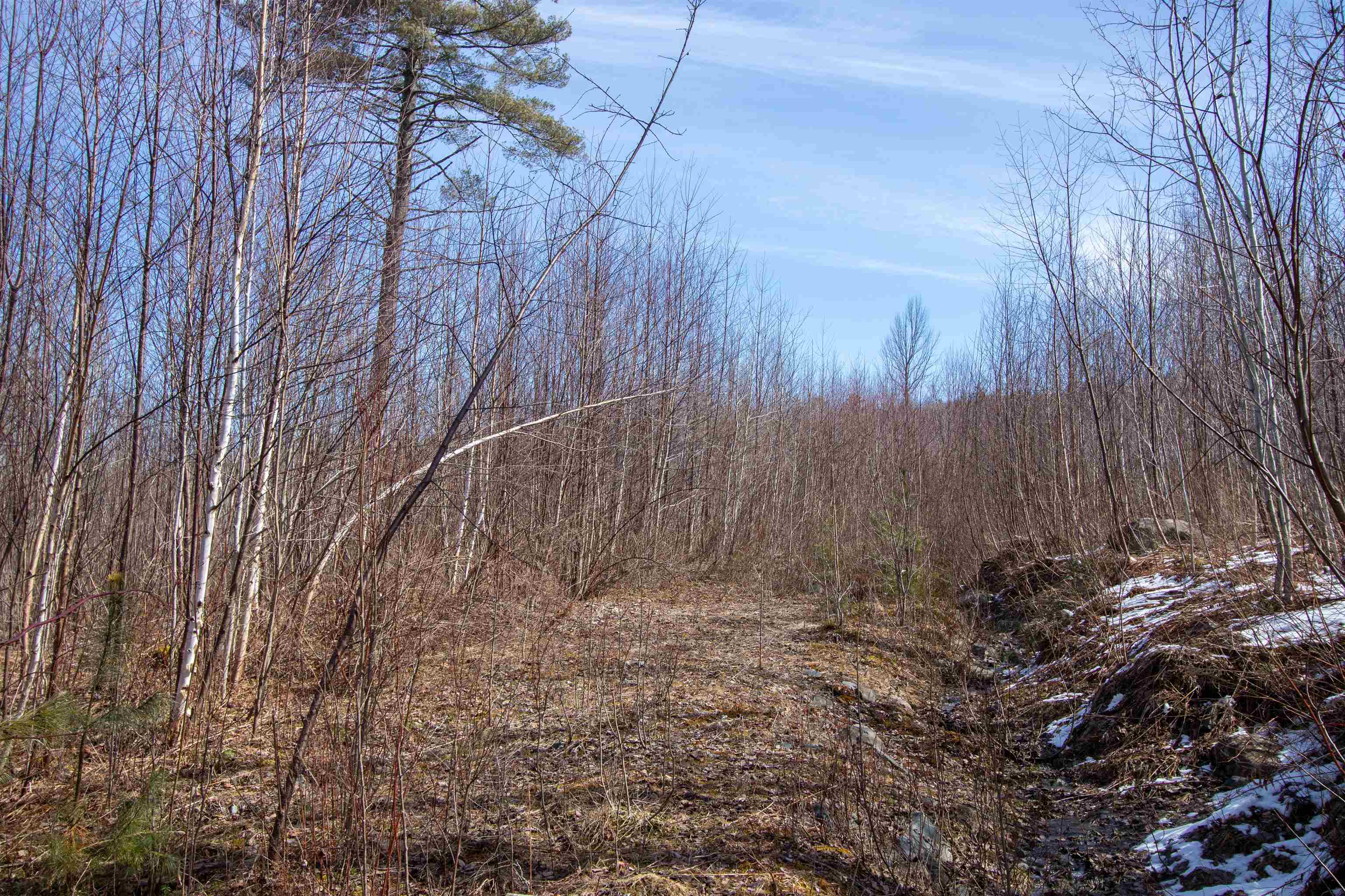 00 Long Hill Road Property Photo 4