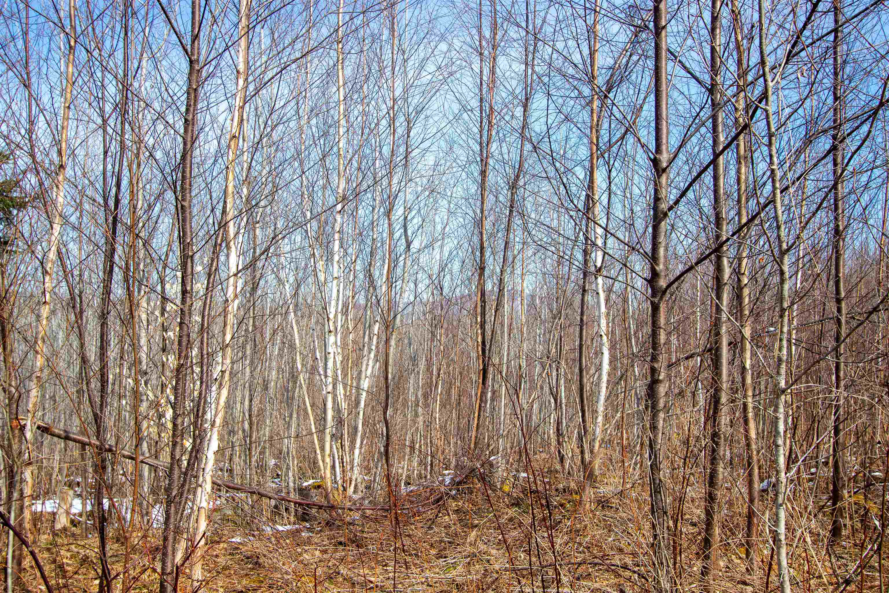00 Long Hill Road Property Photo 8