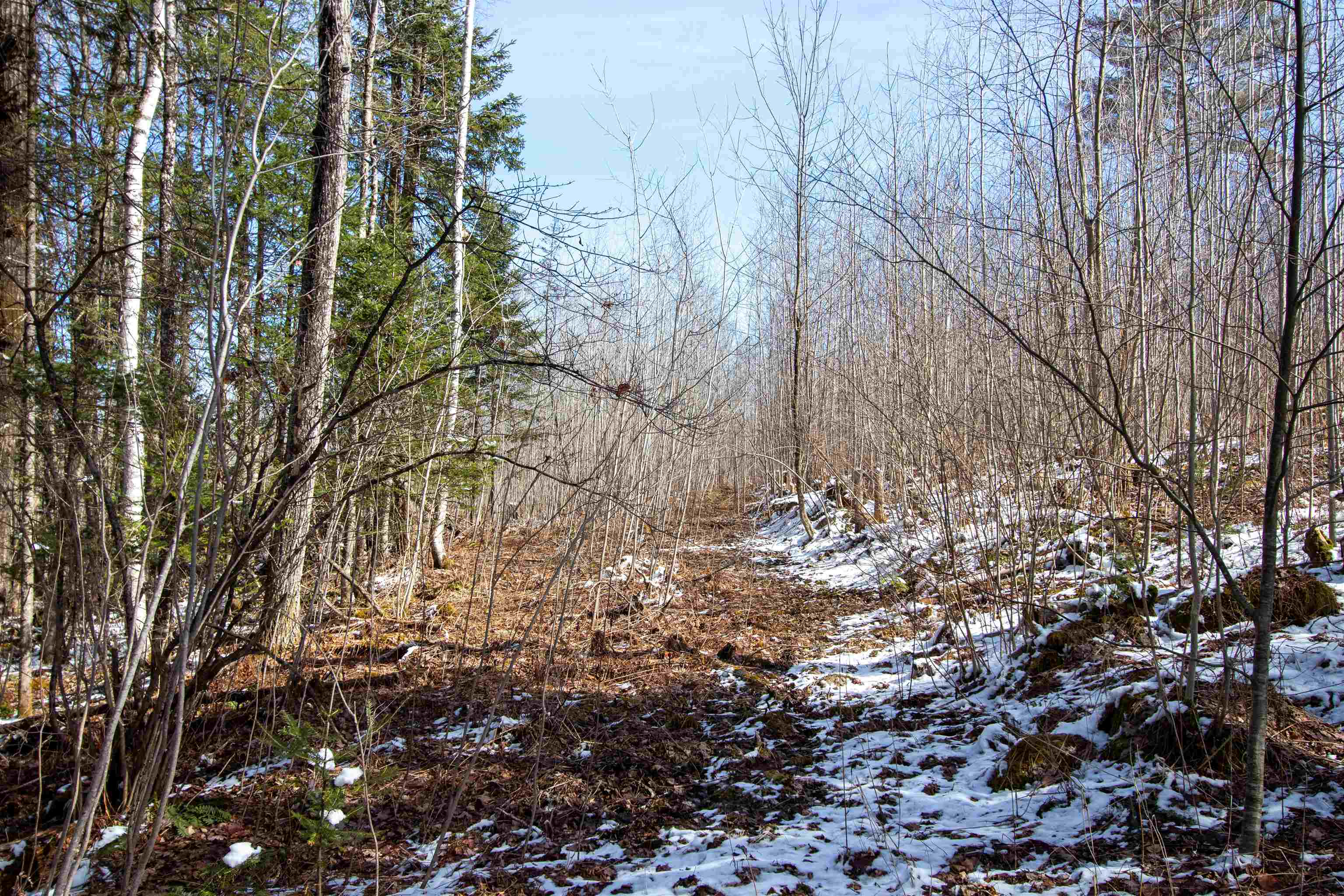 00 Long Hill Road Property Photo 10