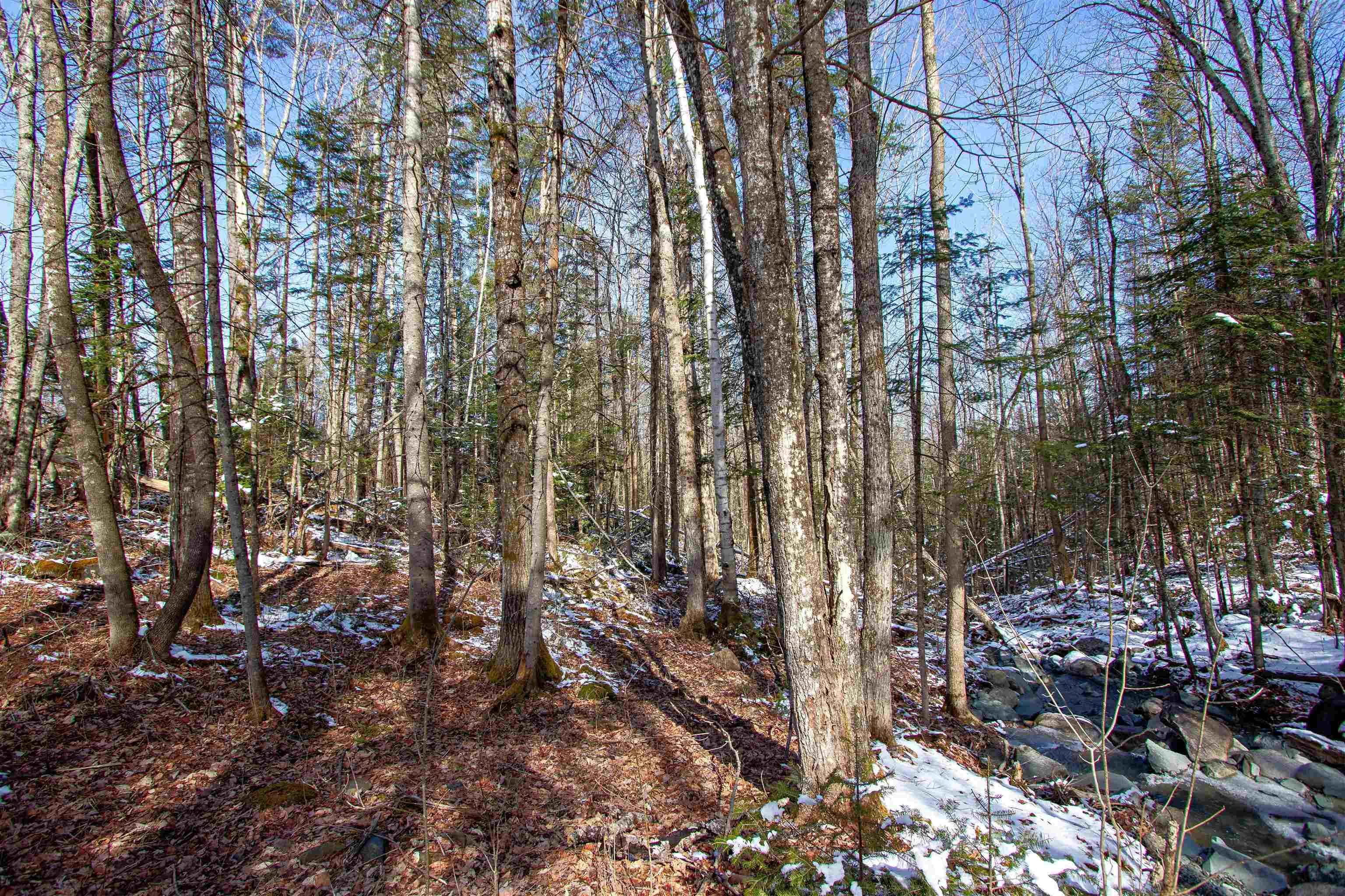 00 Long Hill Road Property Photo 14