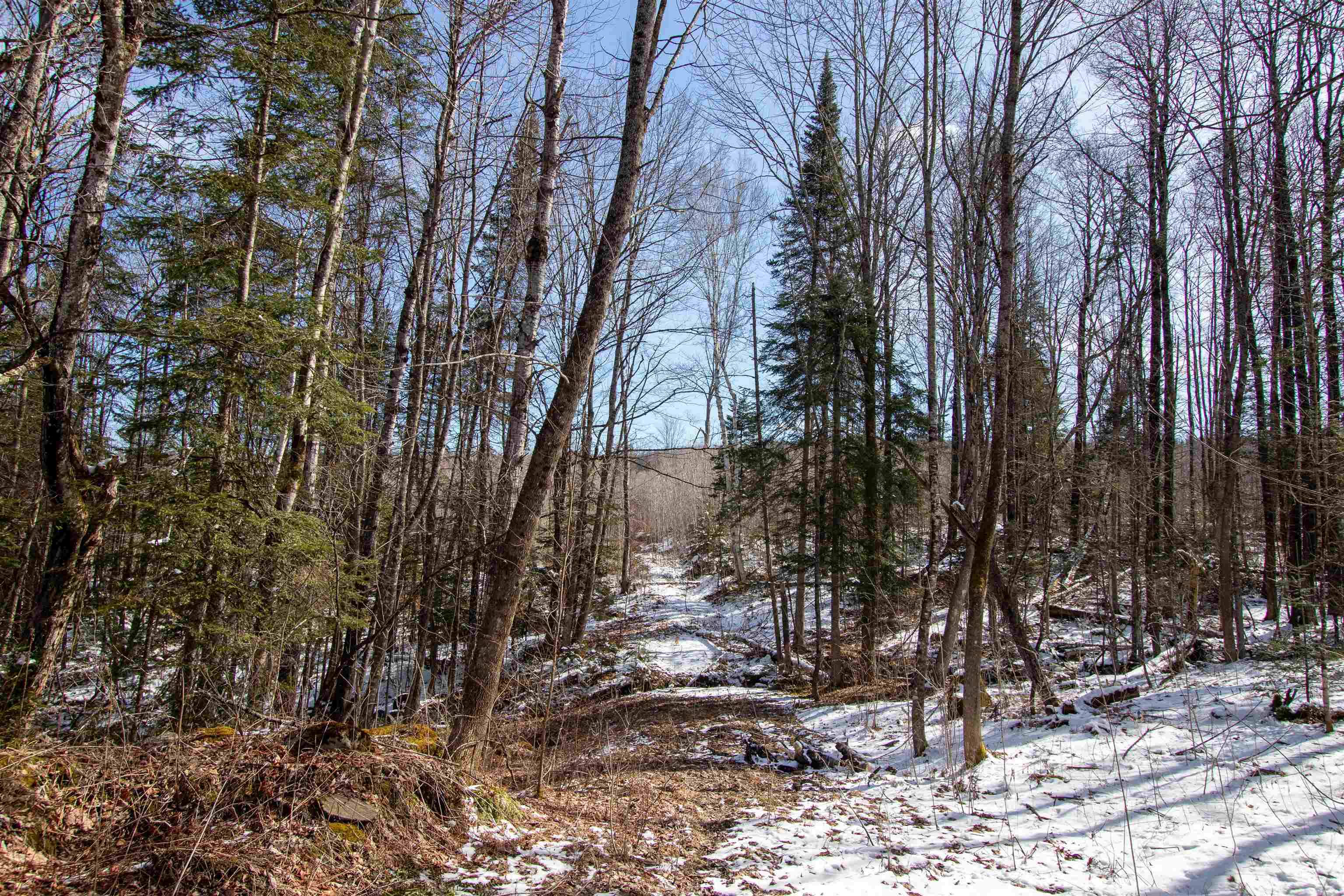 00 Long Hill Road Property Photo 15