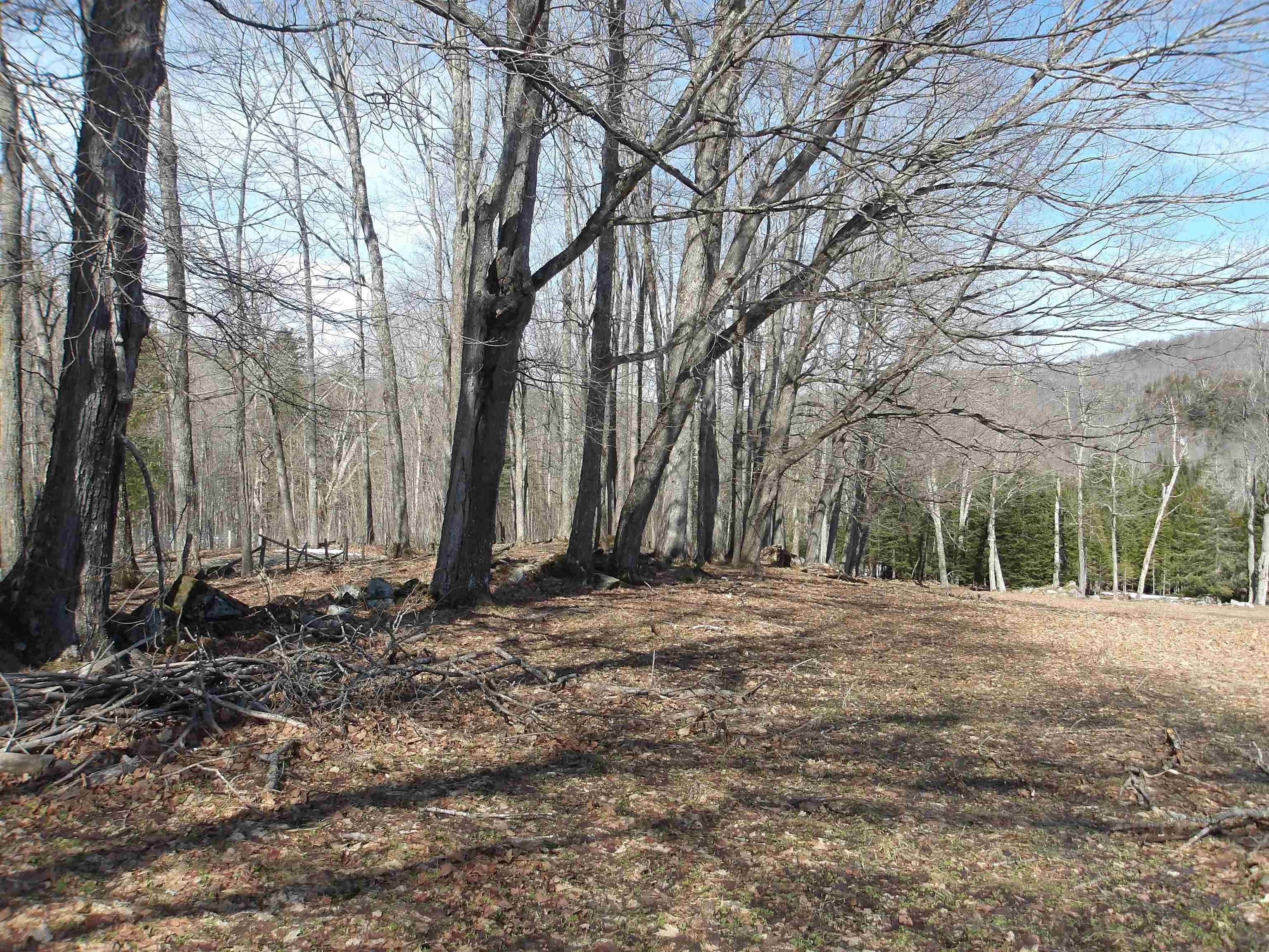 2616 Shadow Lake Road Property Photo 12