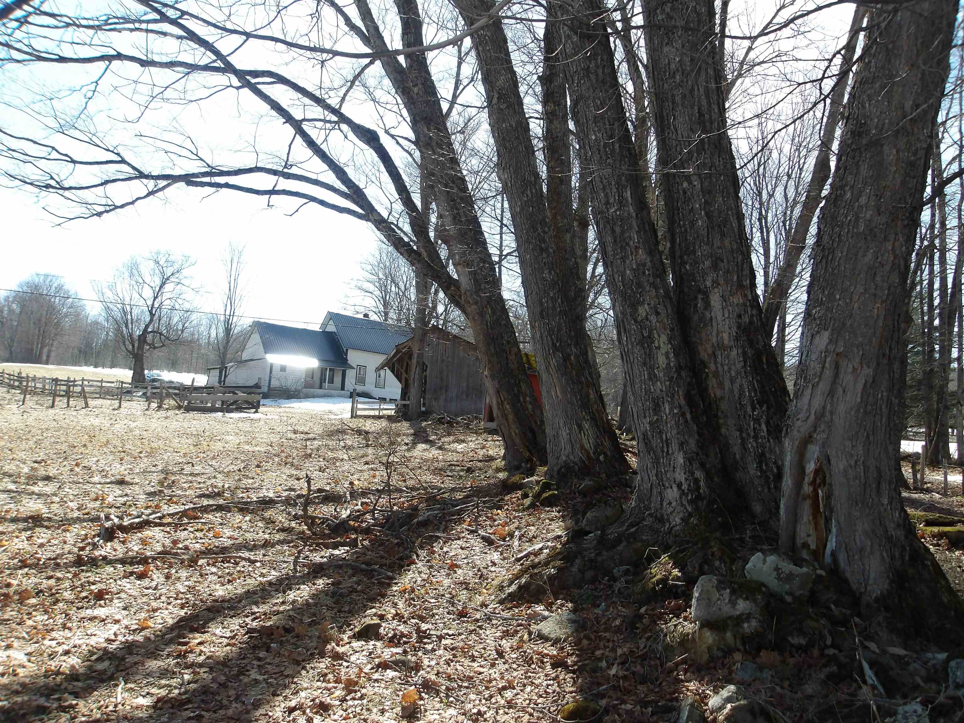 2616 Shadow Lake Road Property Photo 19