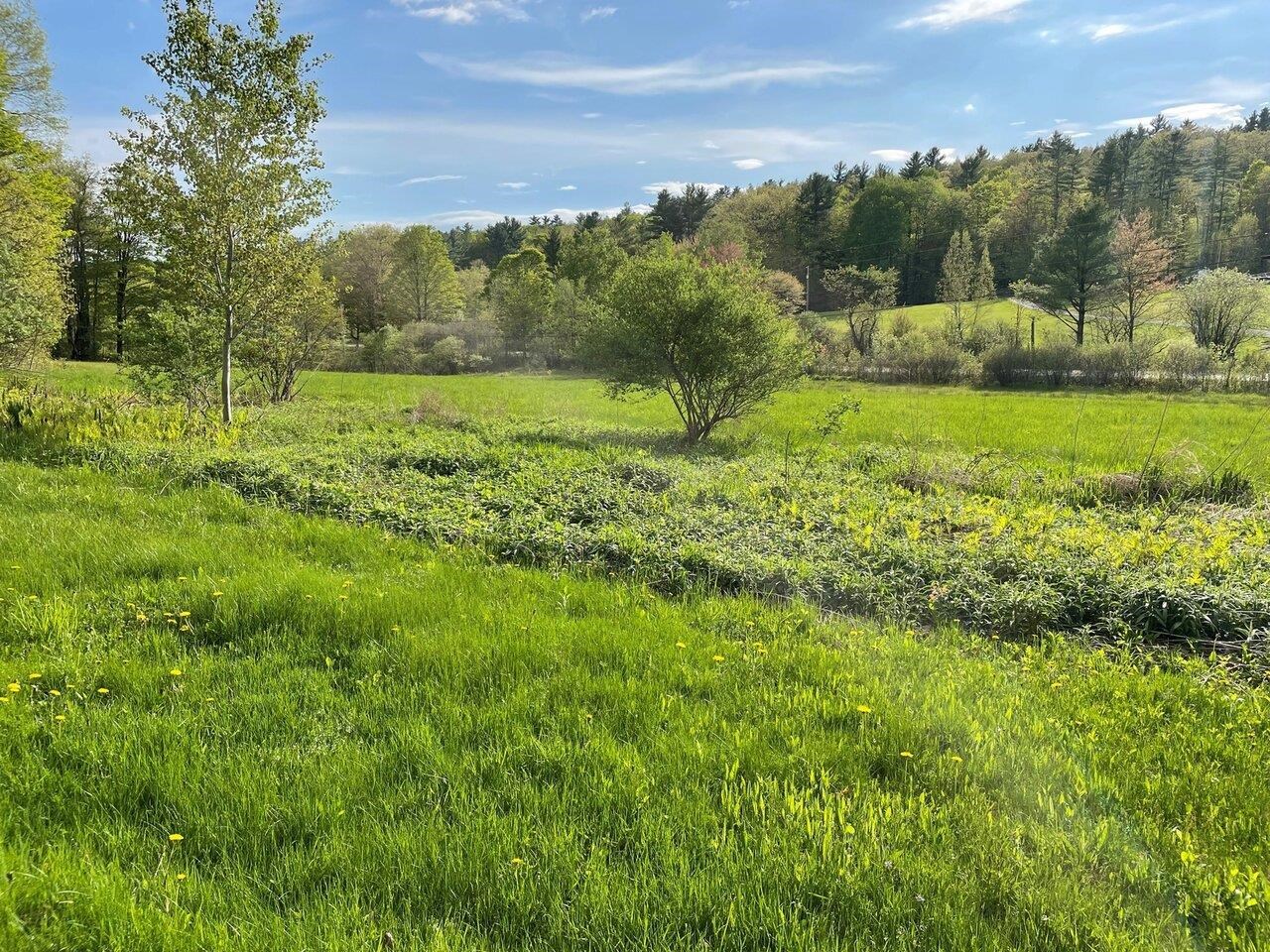1303 Old Stage Road Property Photo 49