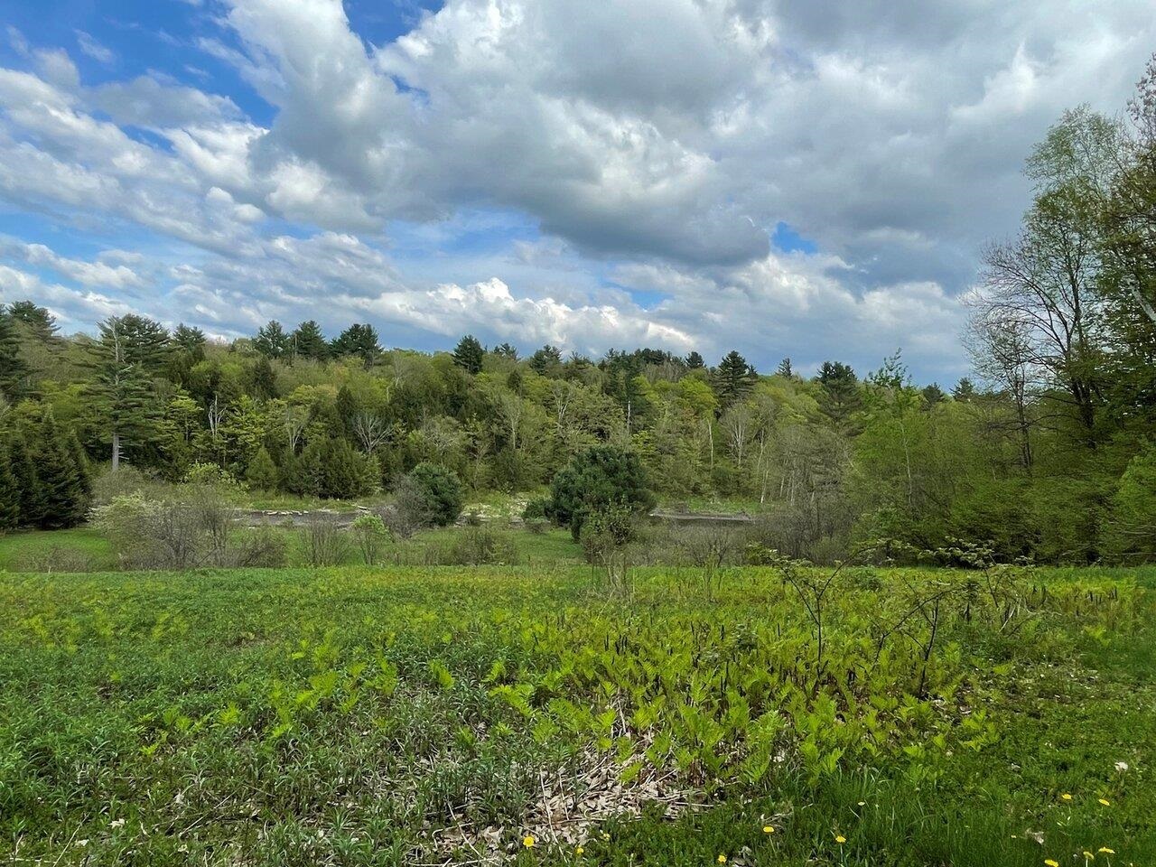 1303 Old Stage Road Property Photo 51
