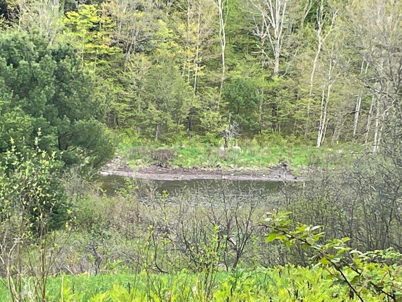1303 Old Stage Road Property Photo 52