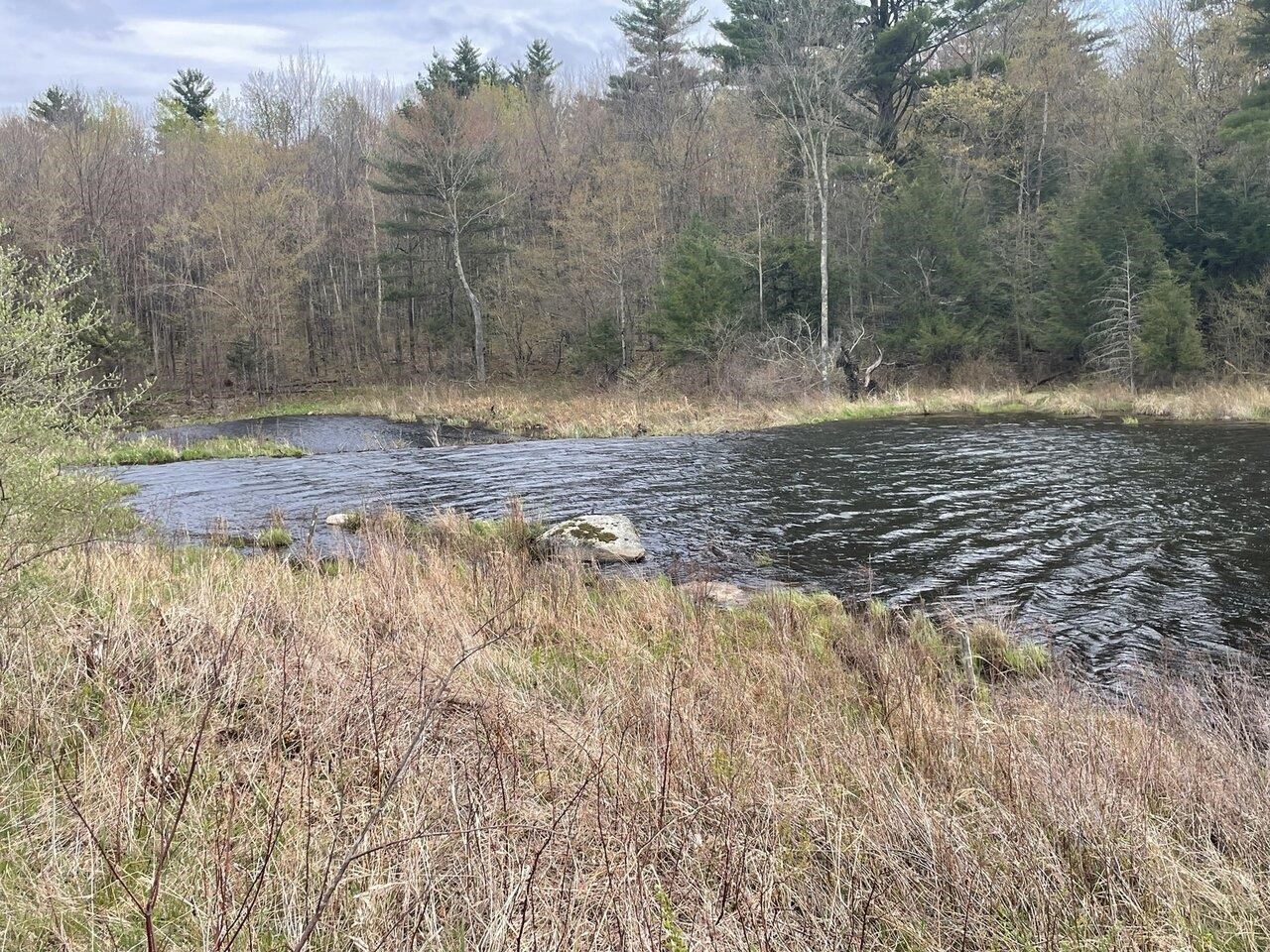 1303 Old Stage Road Property Photo 53