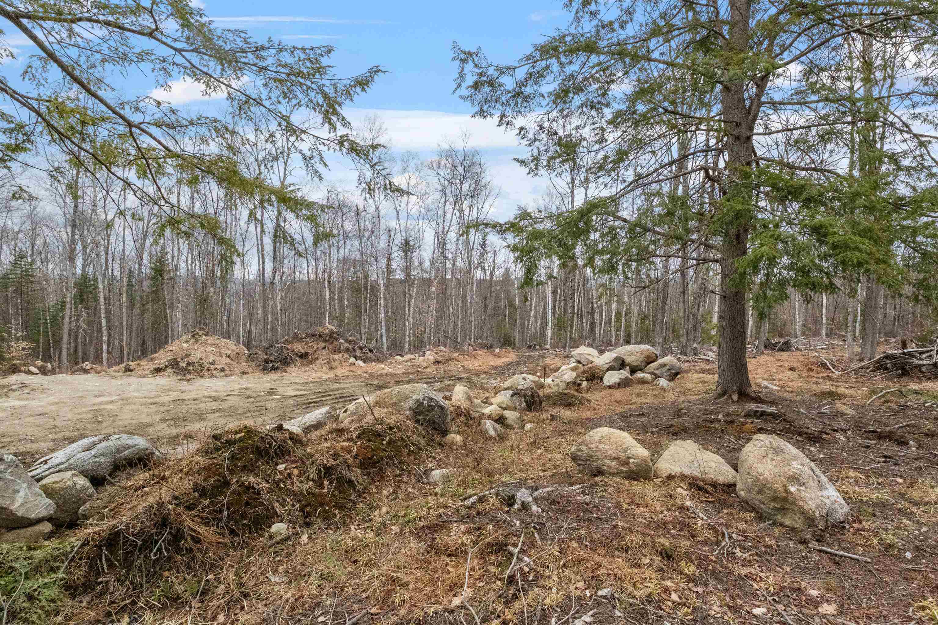 151 Woodland Heights Road Property Photo 4