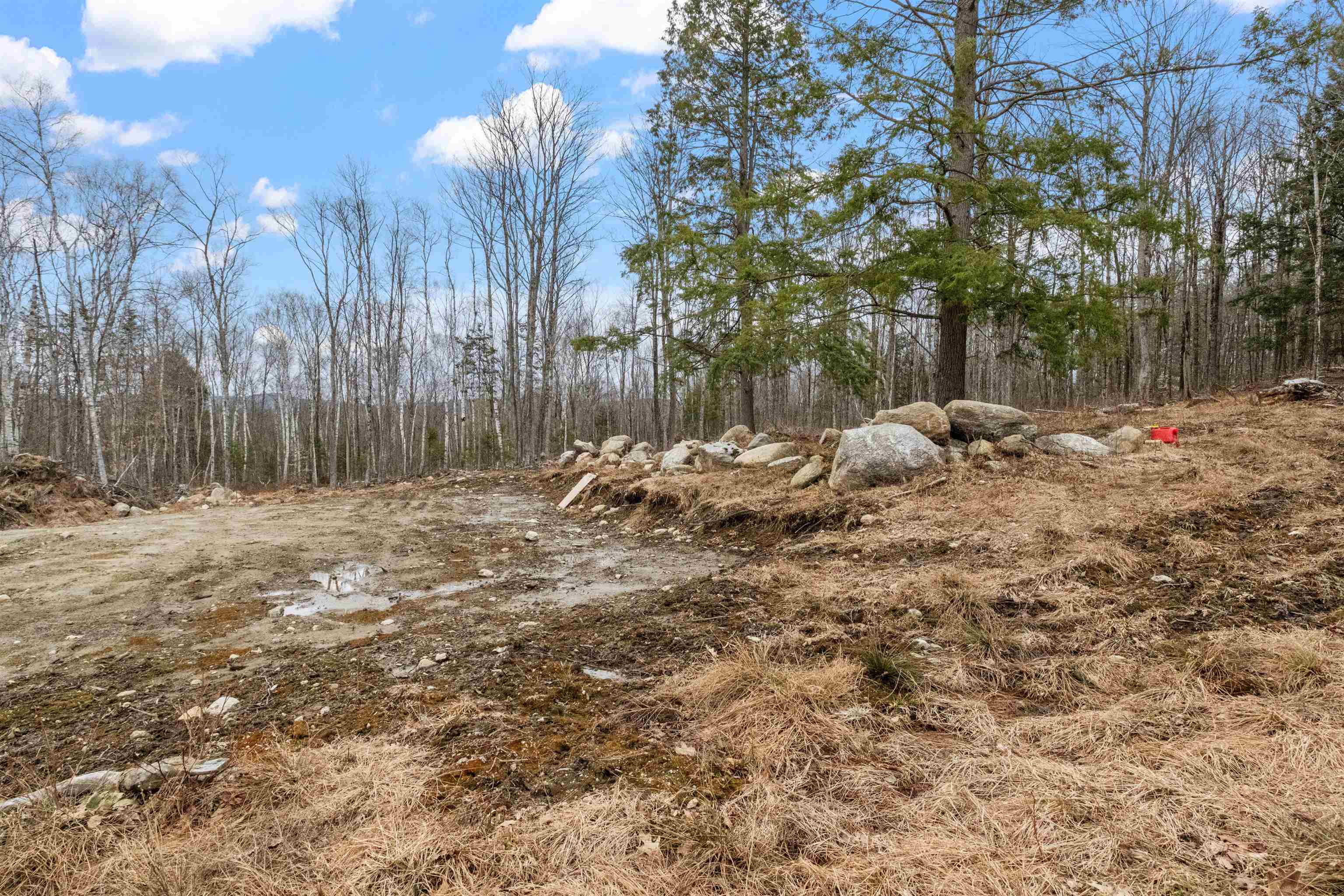 151 Woodland Heights Road Property Photo 6