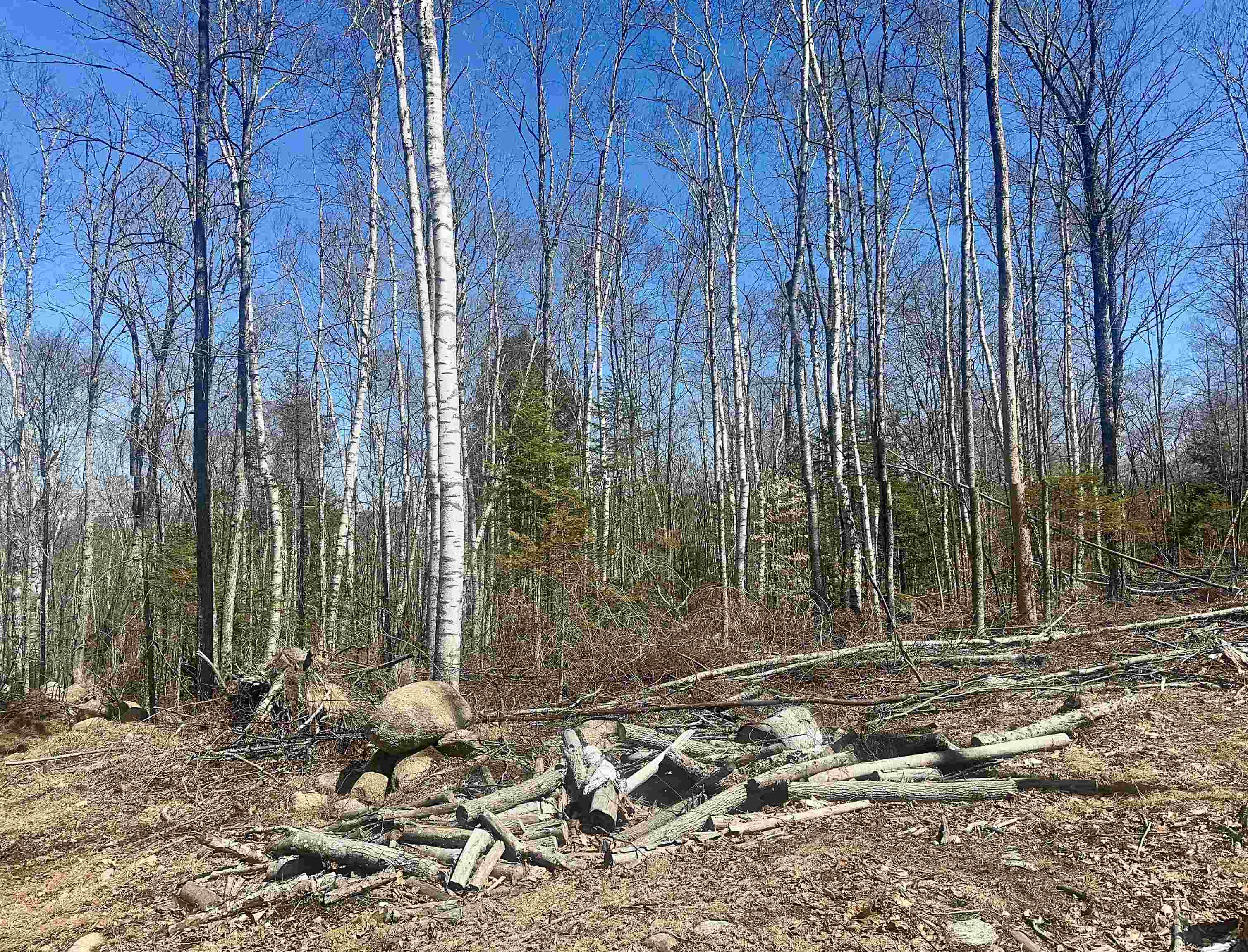 151 Woodland Heights Road Property Photo 9