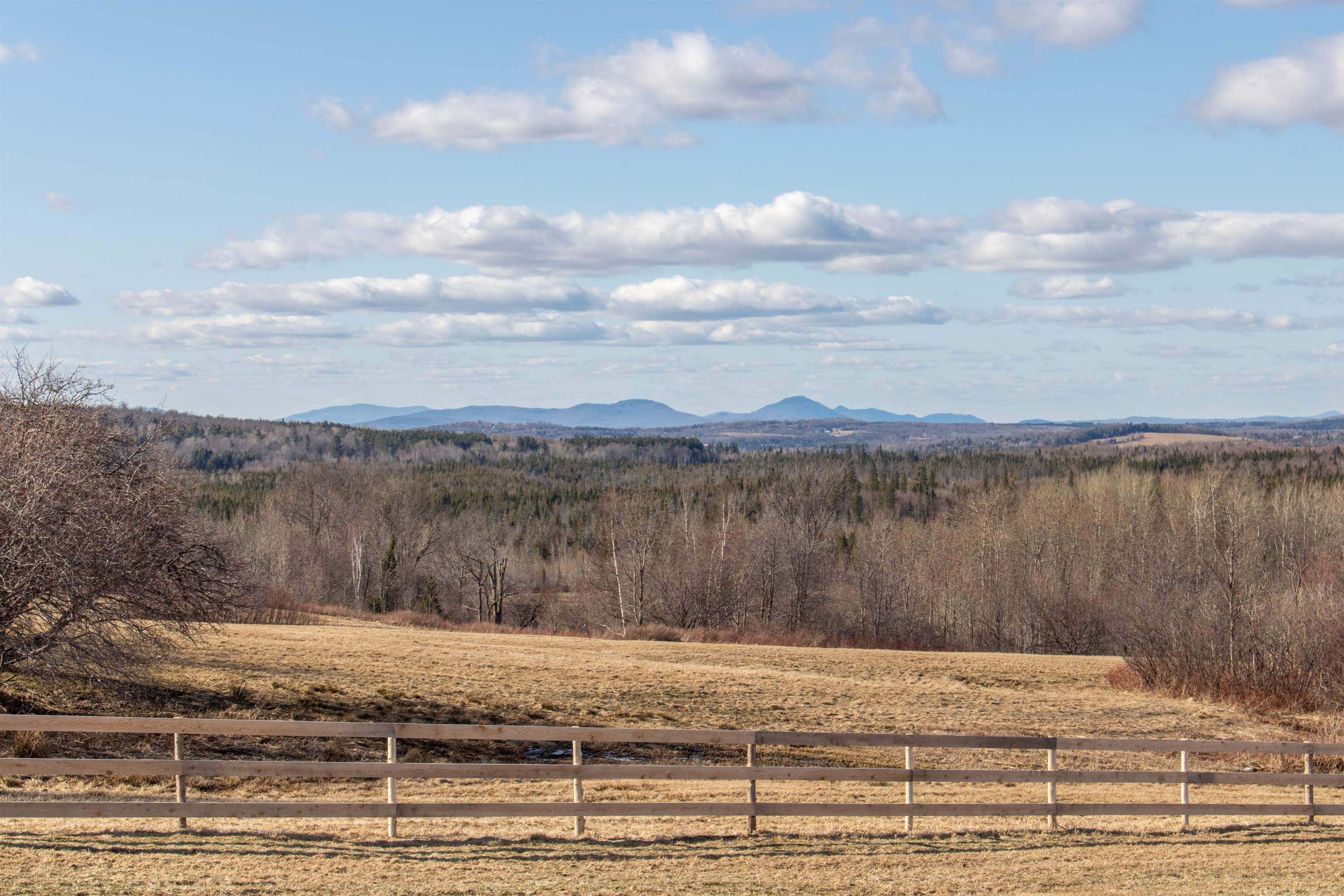 1167 Cook Road Property Photo 39