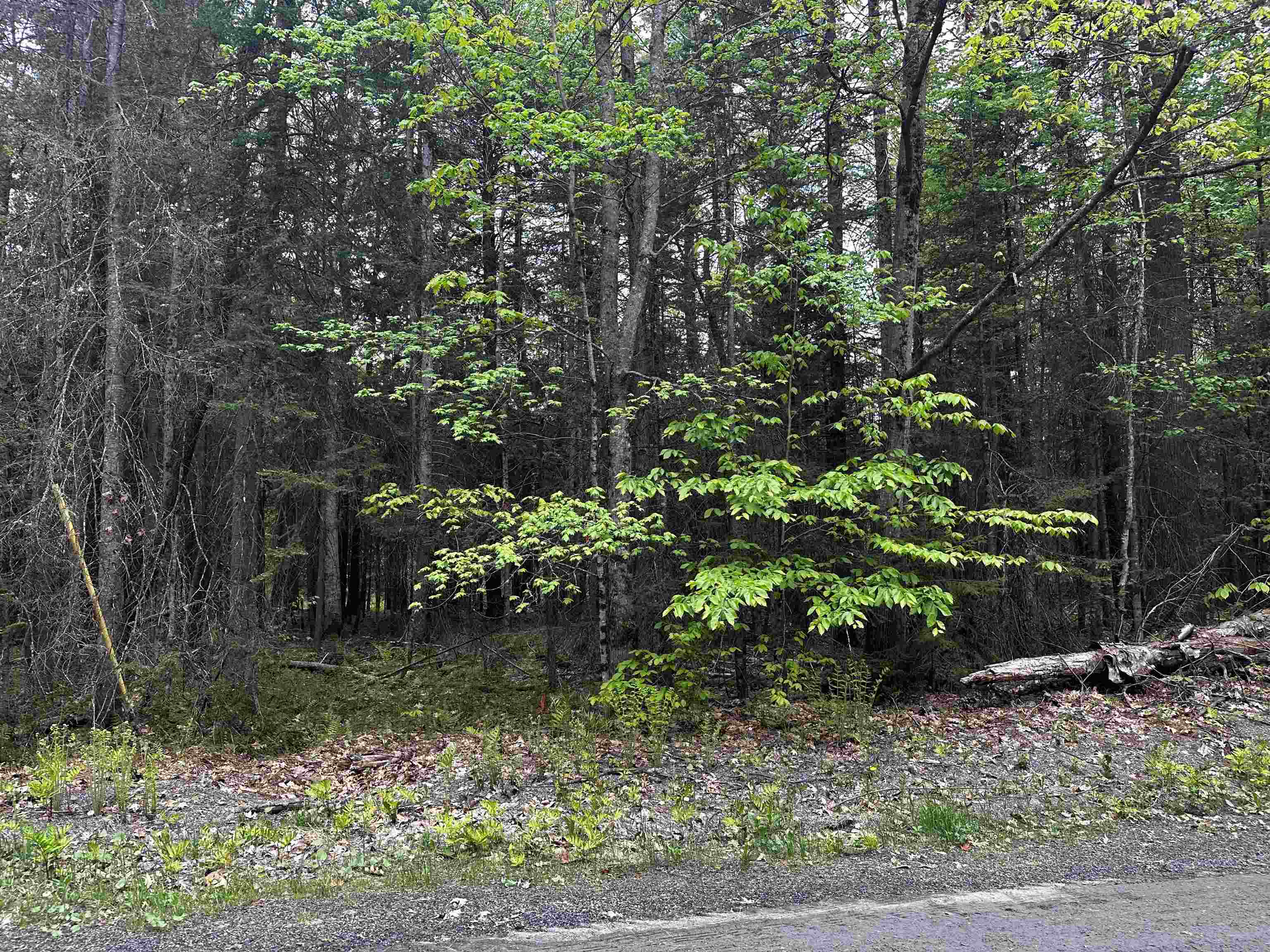 14 Oak Lane Property Photo