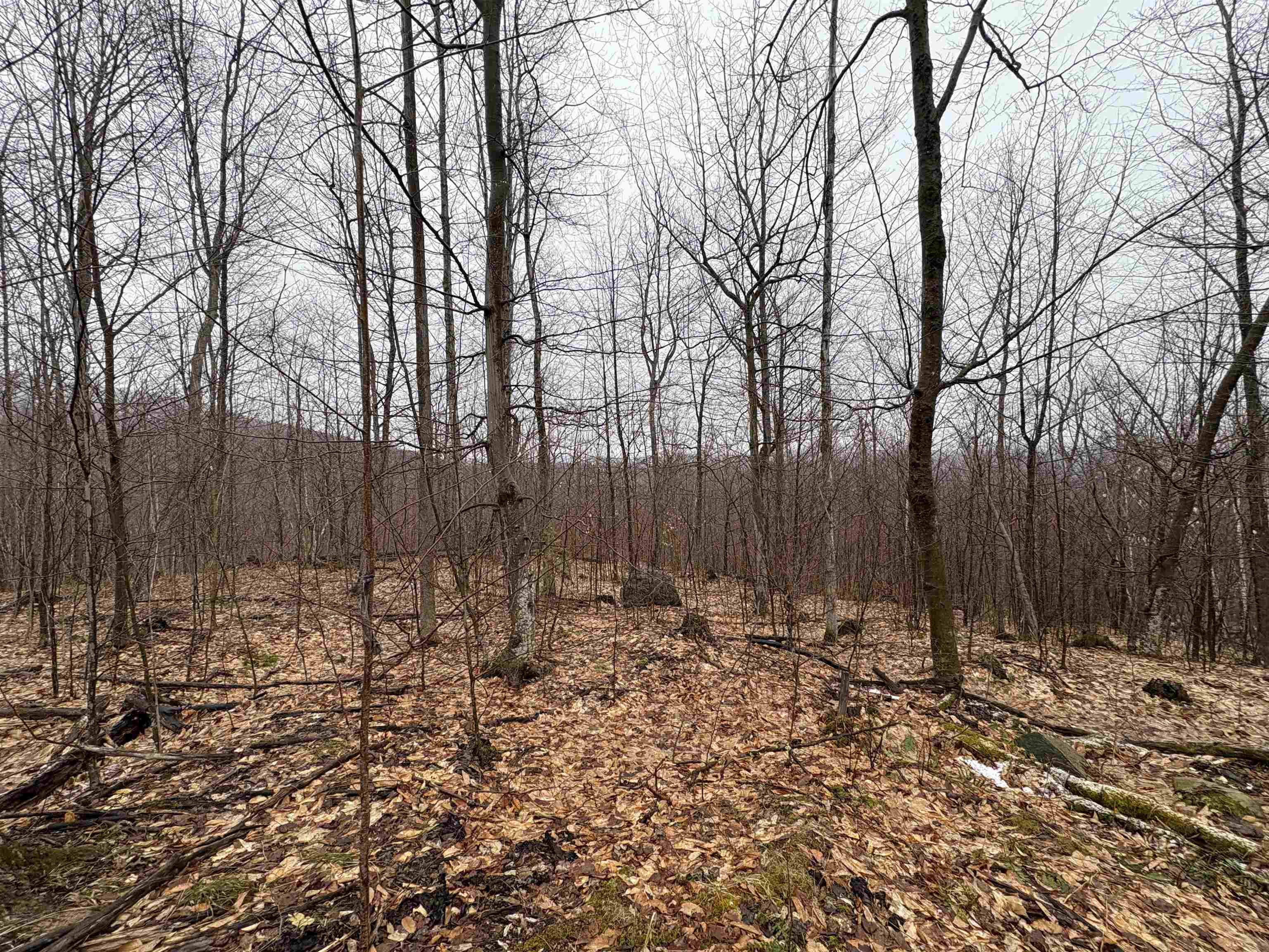 2730 Farrar Road Property Photo
