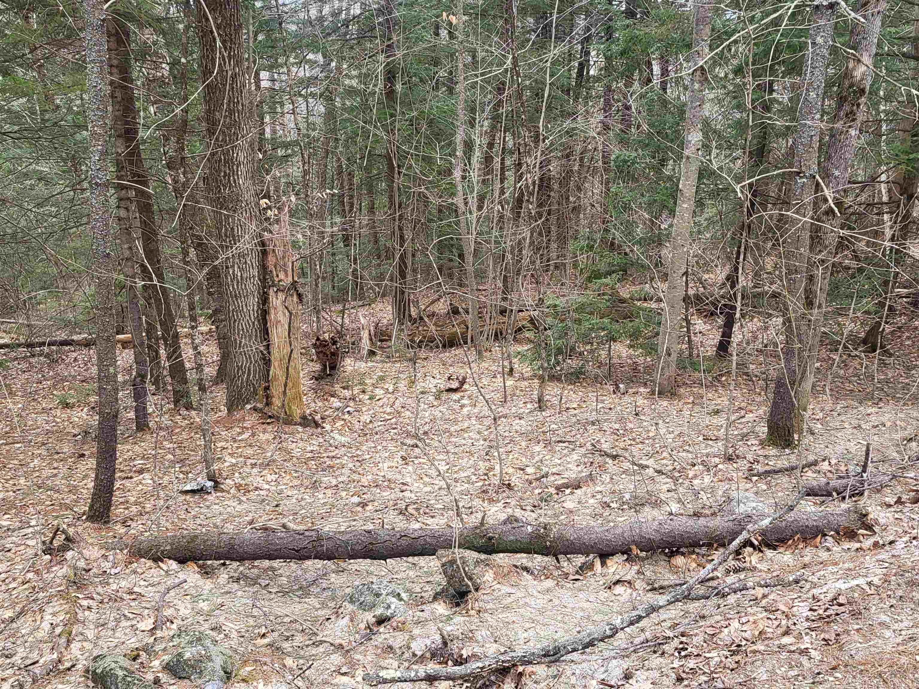 410-089-001 Eastern District Road Property Photo 1