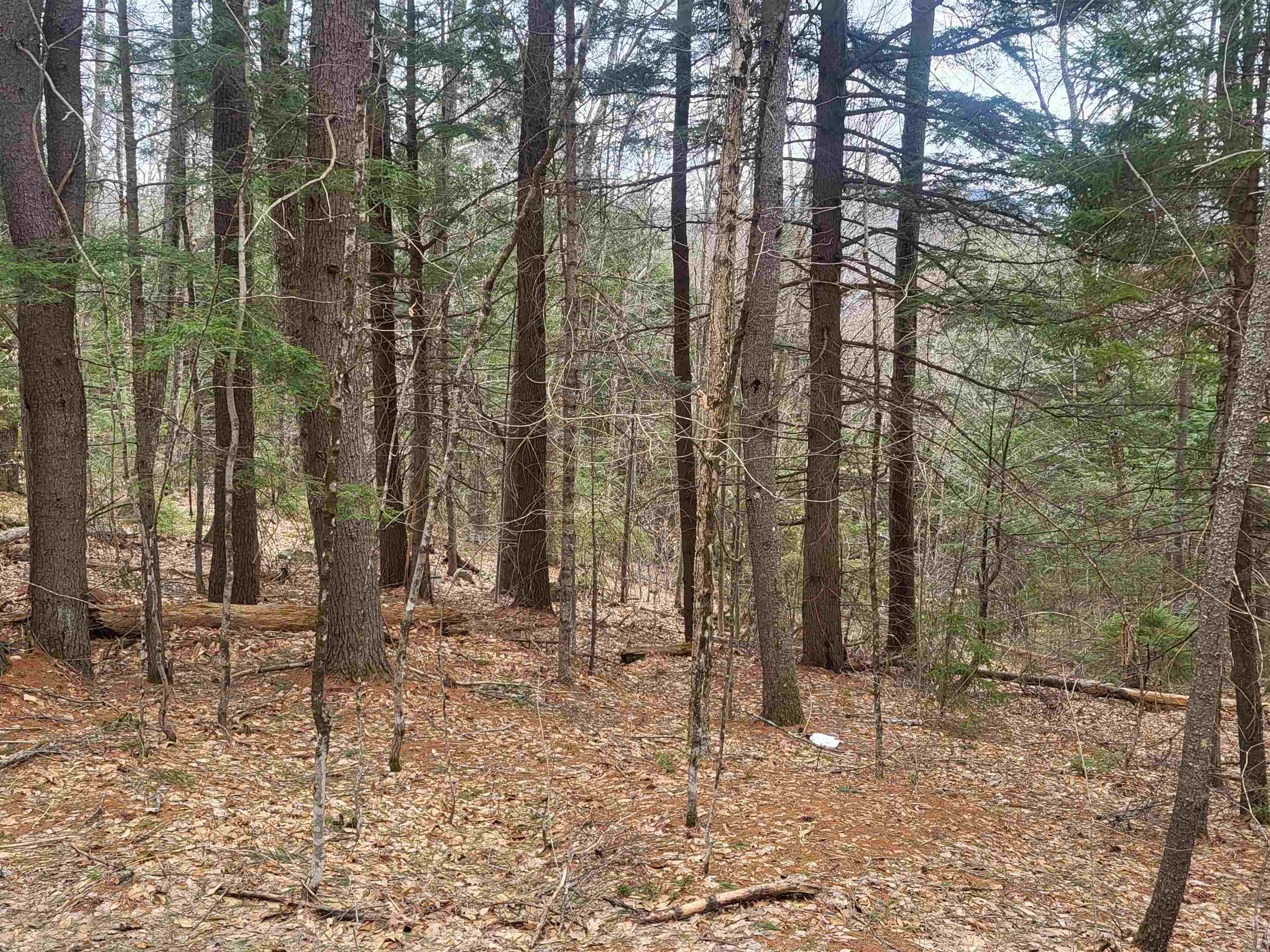 410-089-001 Eastern District Road Property Photo 2