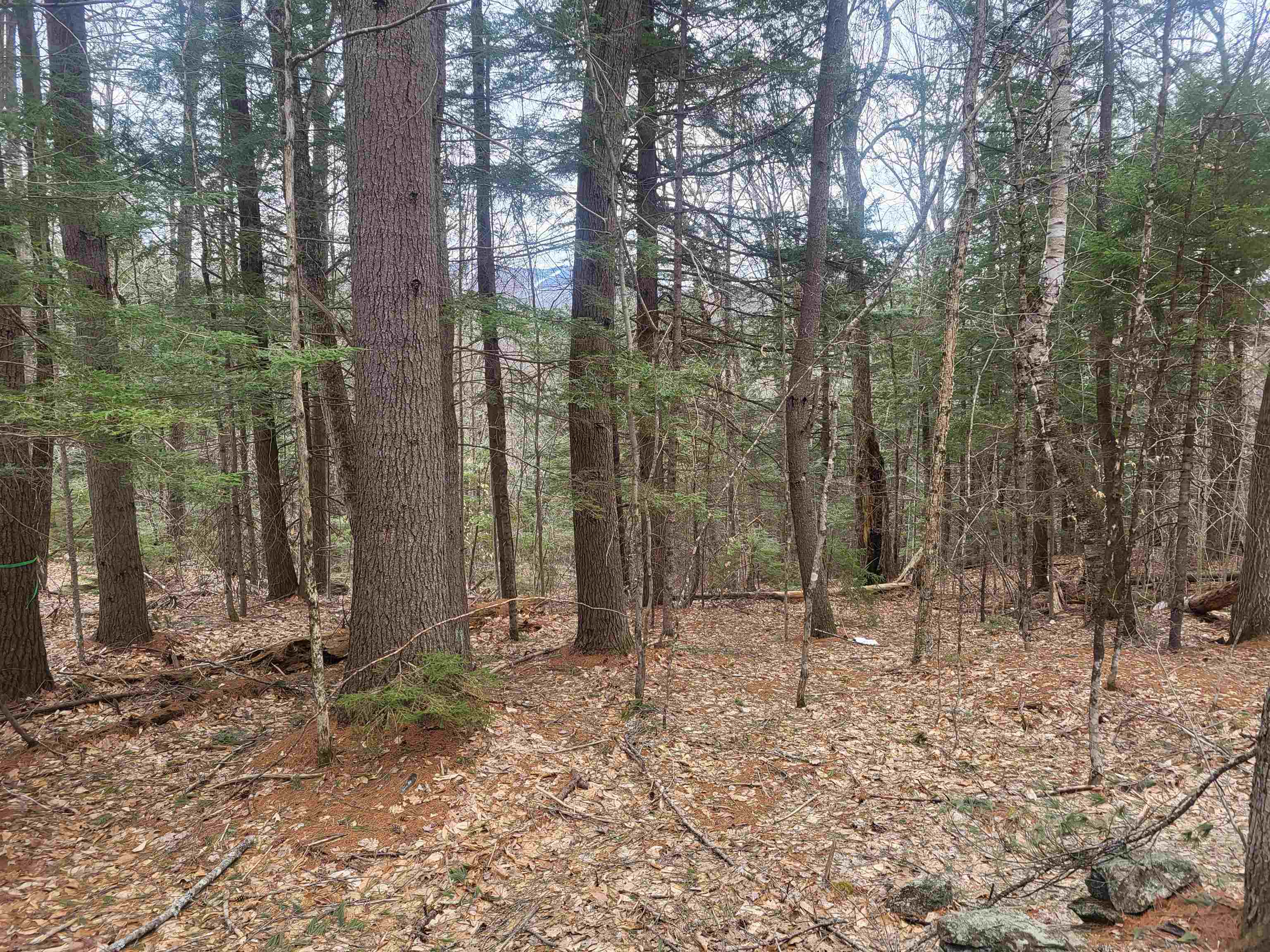 410-089-002 Eastern District Road Property Photo 4