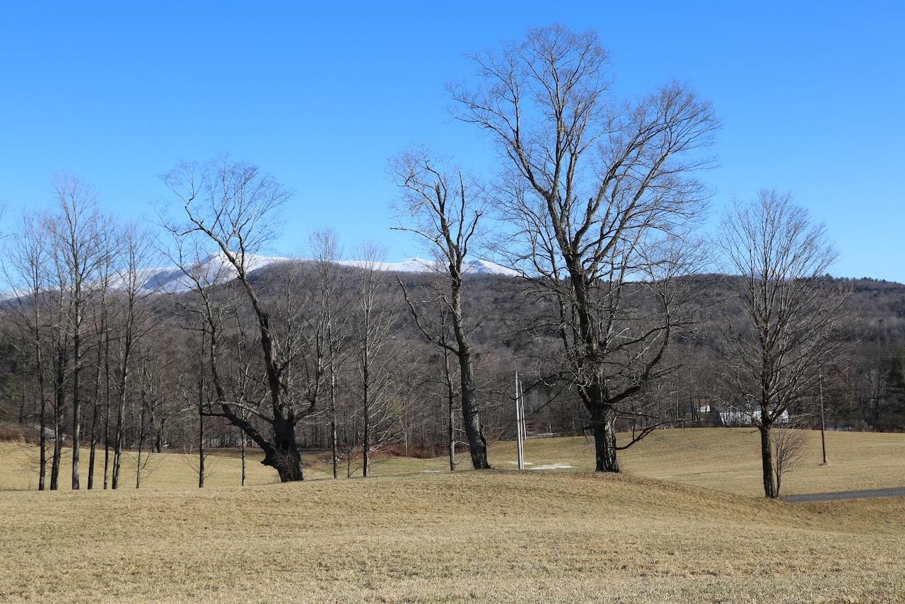 485 Vt Route 15 Property Photo 56