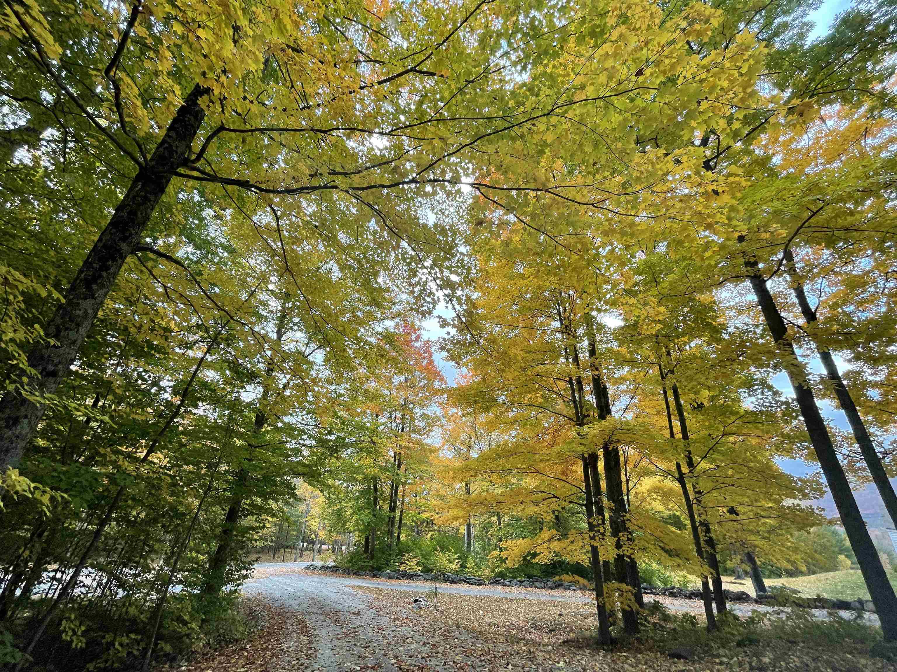 376 Windward Hill Property Photo 32