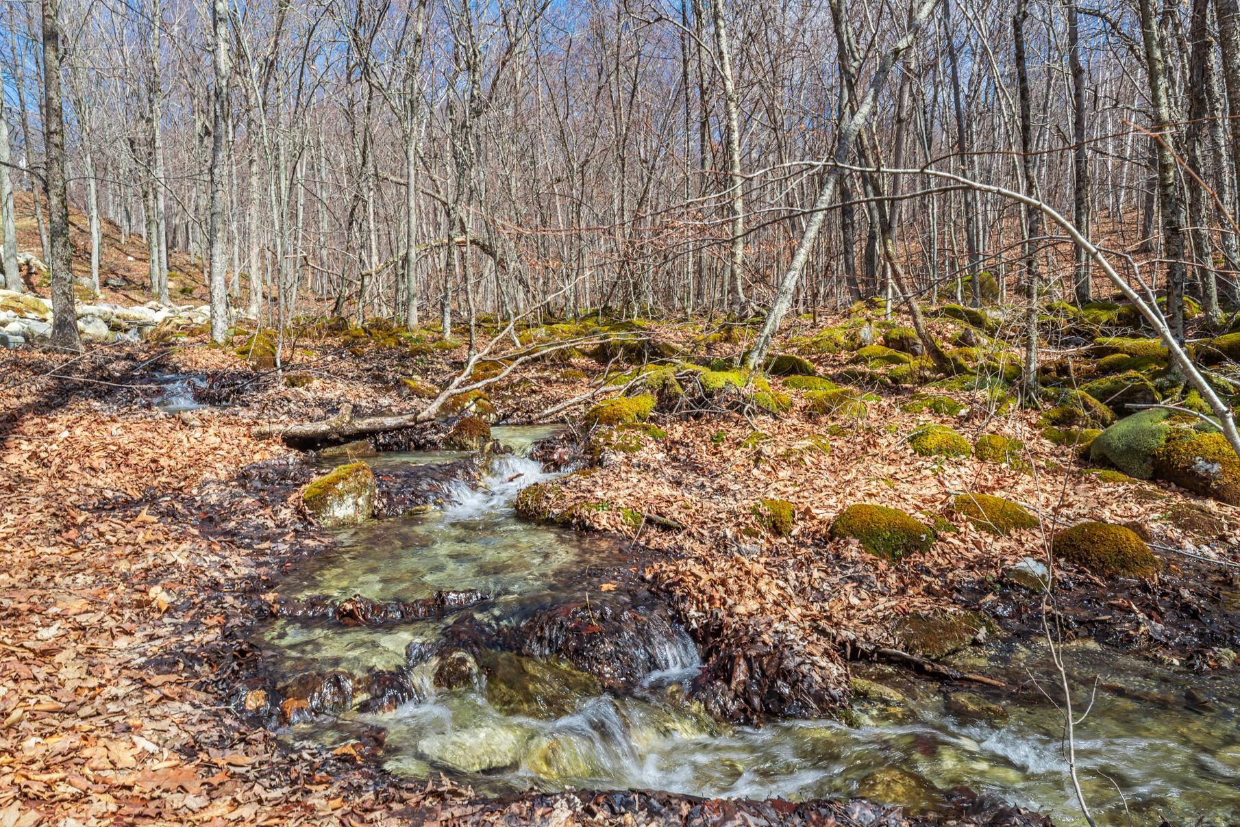 376 Windward Hill Property Photo 35