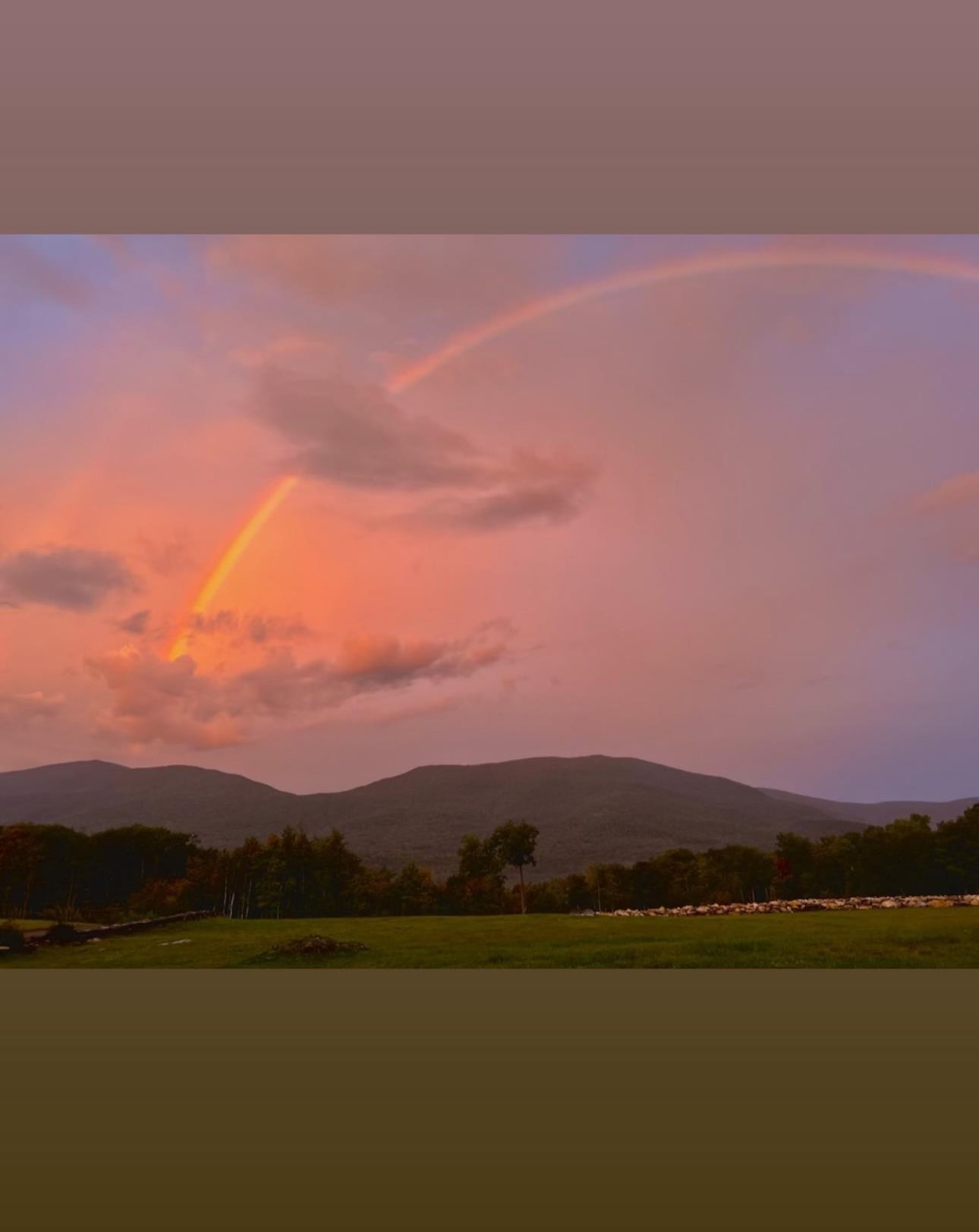 376 Windward Hill Property Photo 42