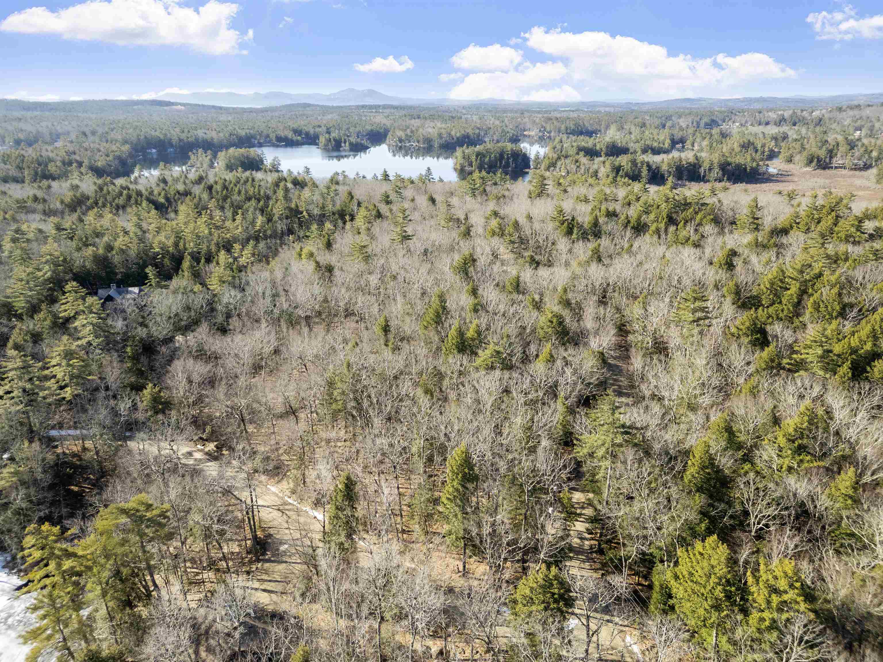 Moose Walk Property Photo 8