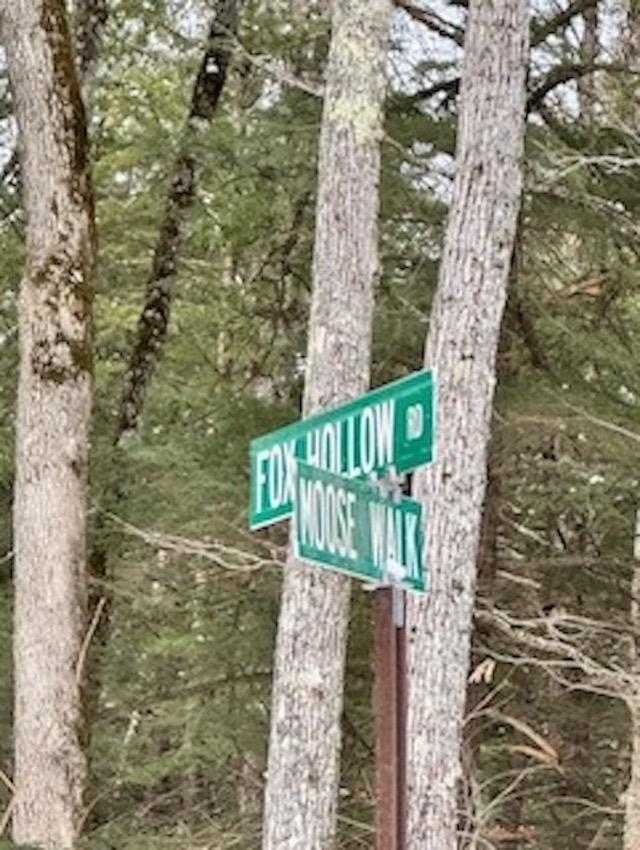 Moose Walk Property Photo 11