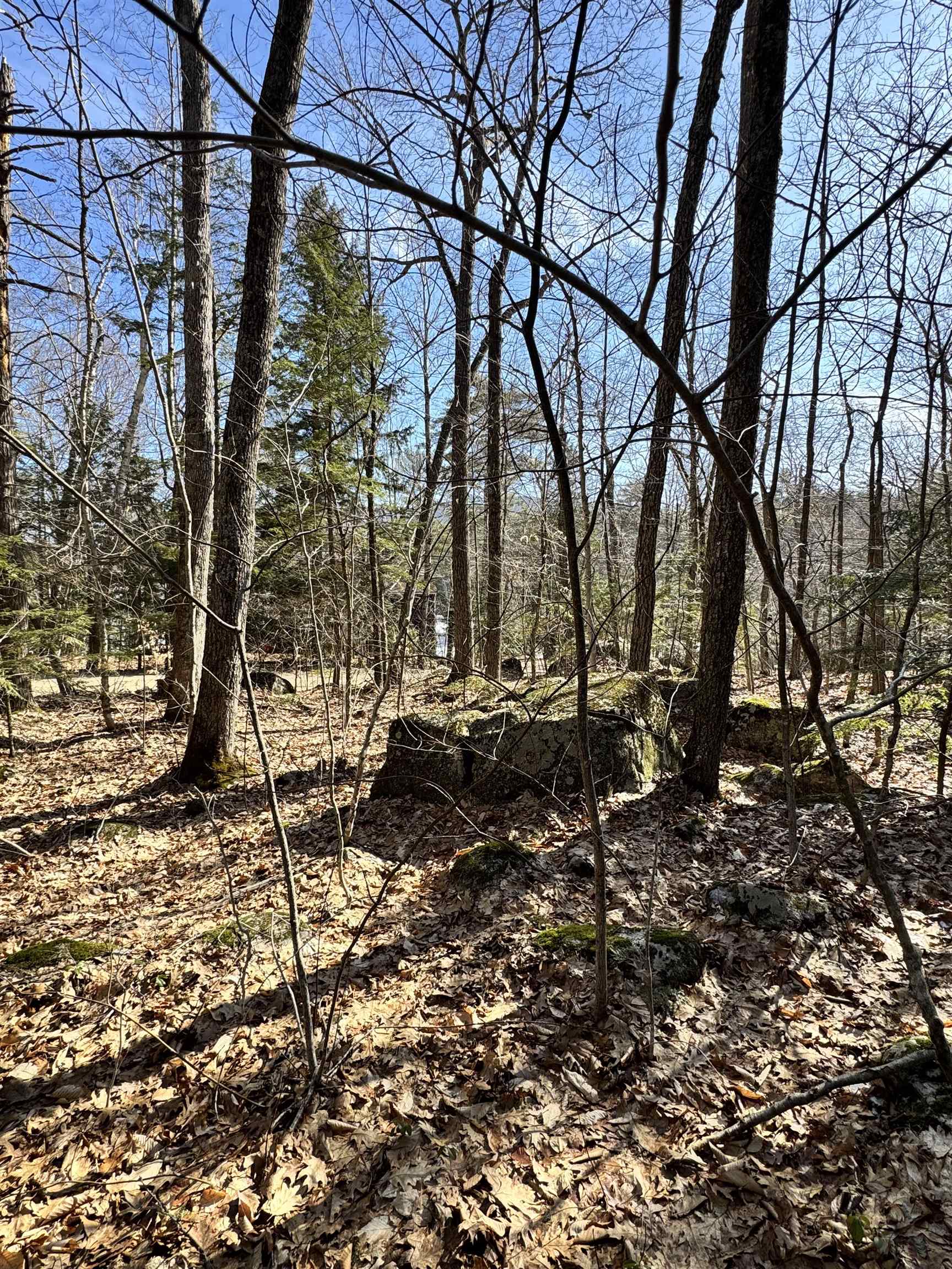 Moose Walk Property Photo 12