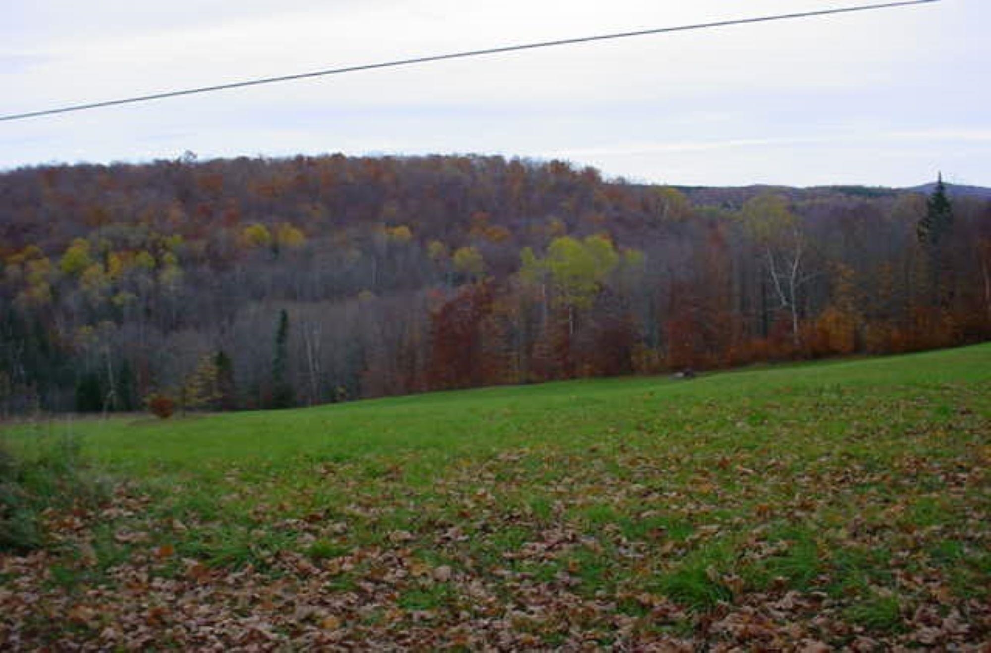 Williamstown Real Estate Listings Main Image