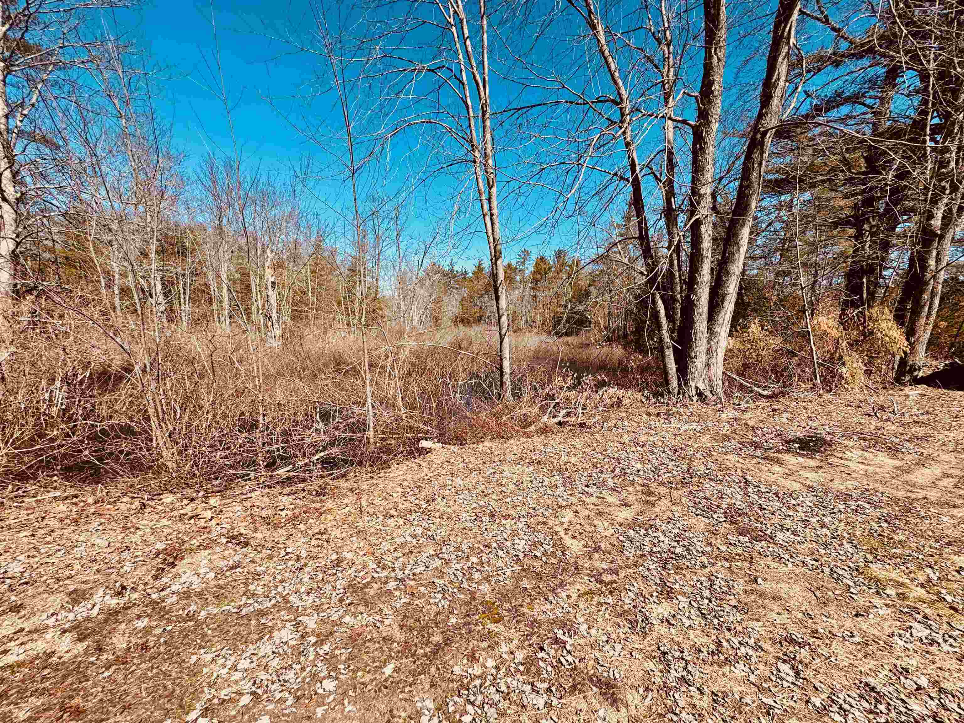 2090 Route 16 Property Photo 1