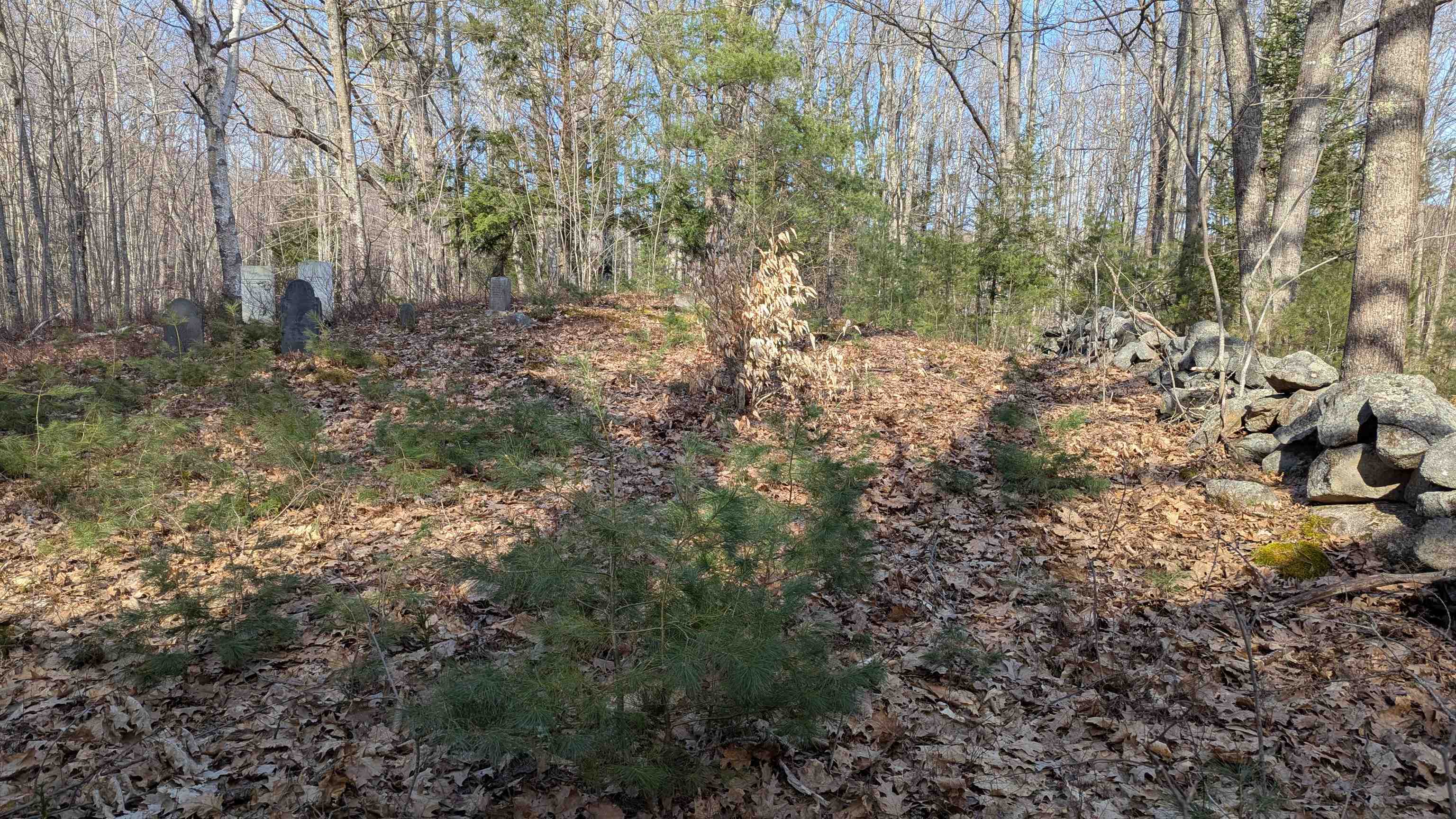 M 3 - L 15-2 Prospect Mountain Road Property Photo 10