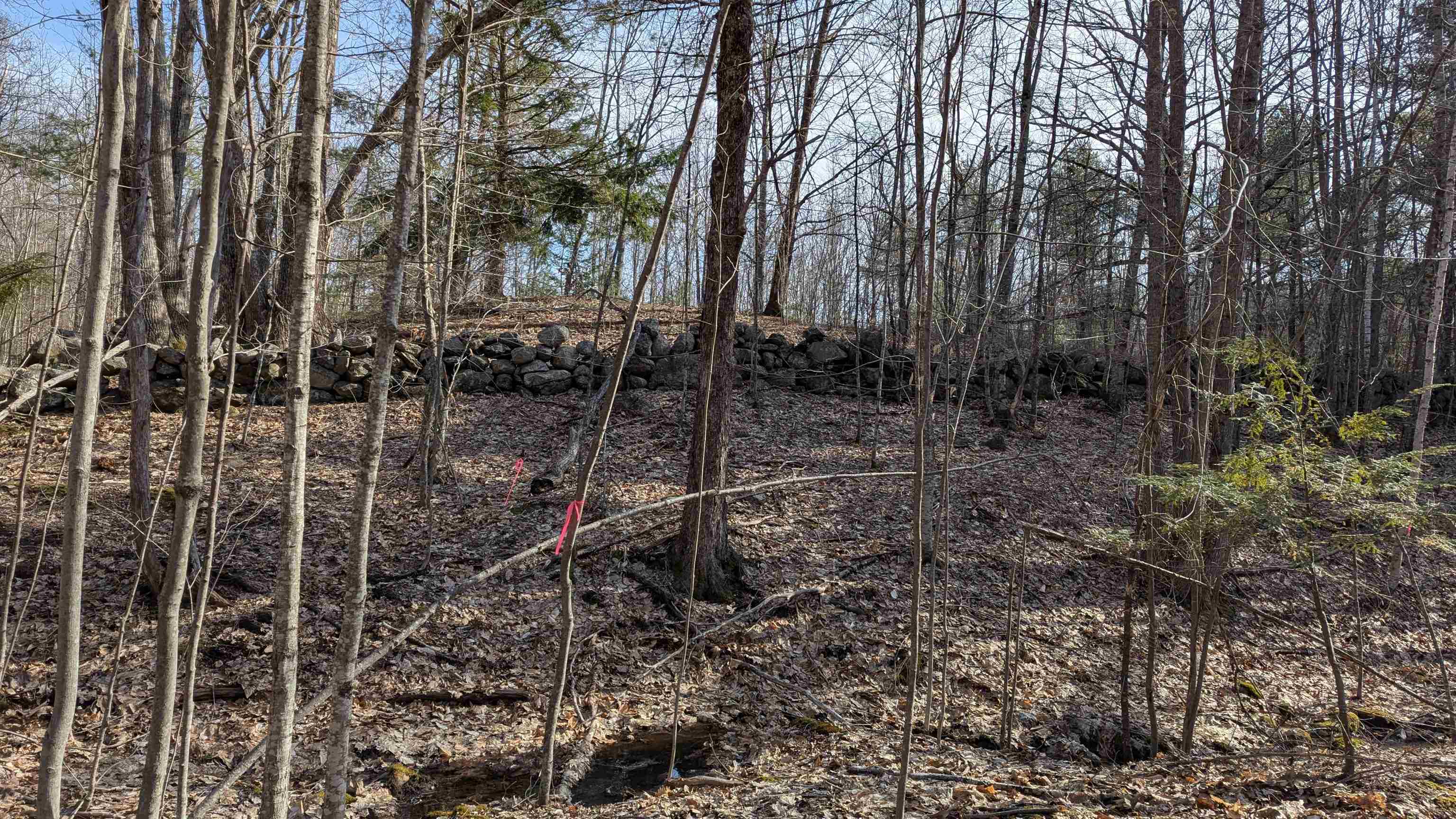 M 3 - L 15-2 Prospect Mountain Road Property Photo 15