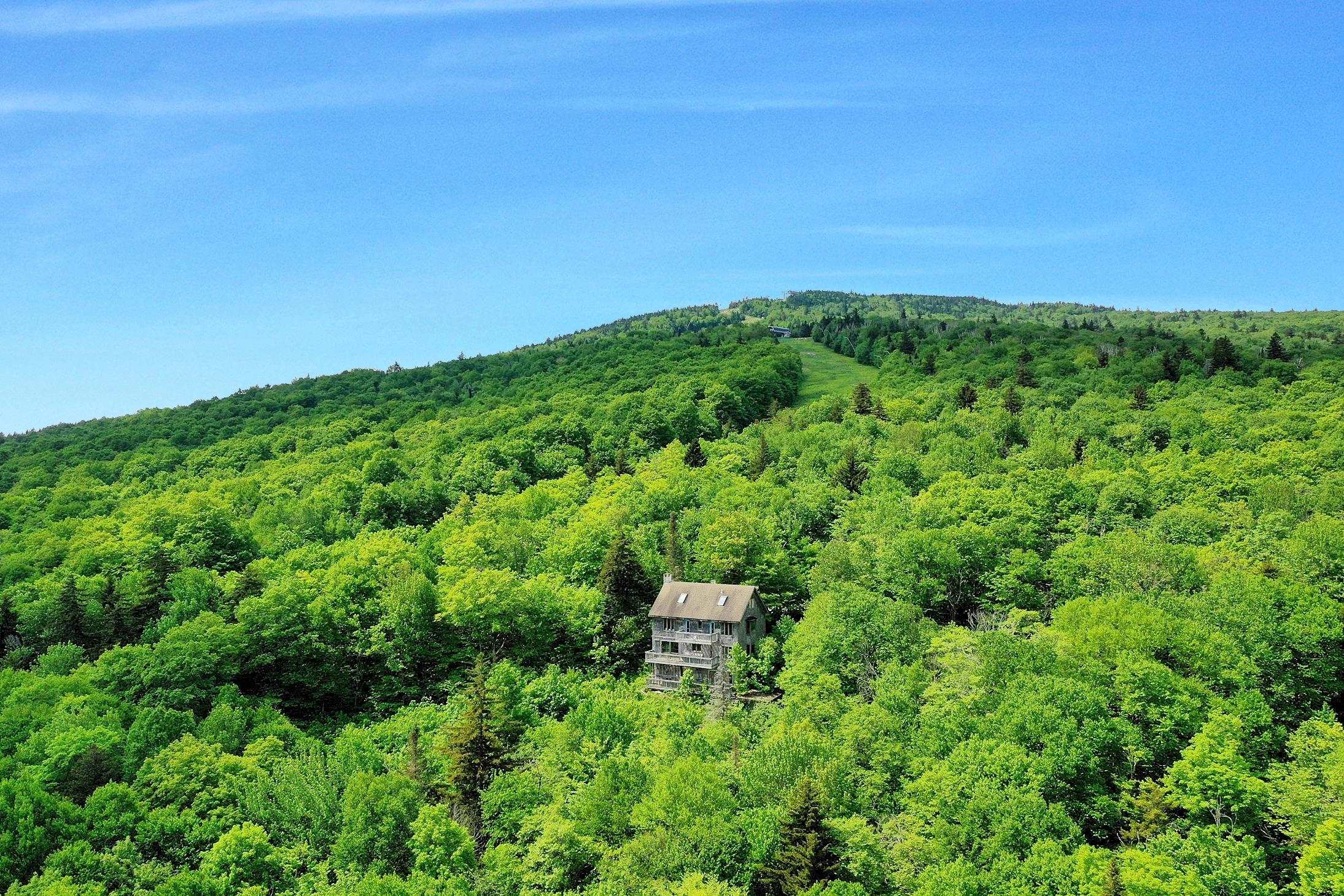 1300 Mountain Road Property Photo
